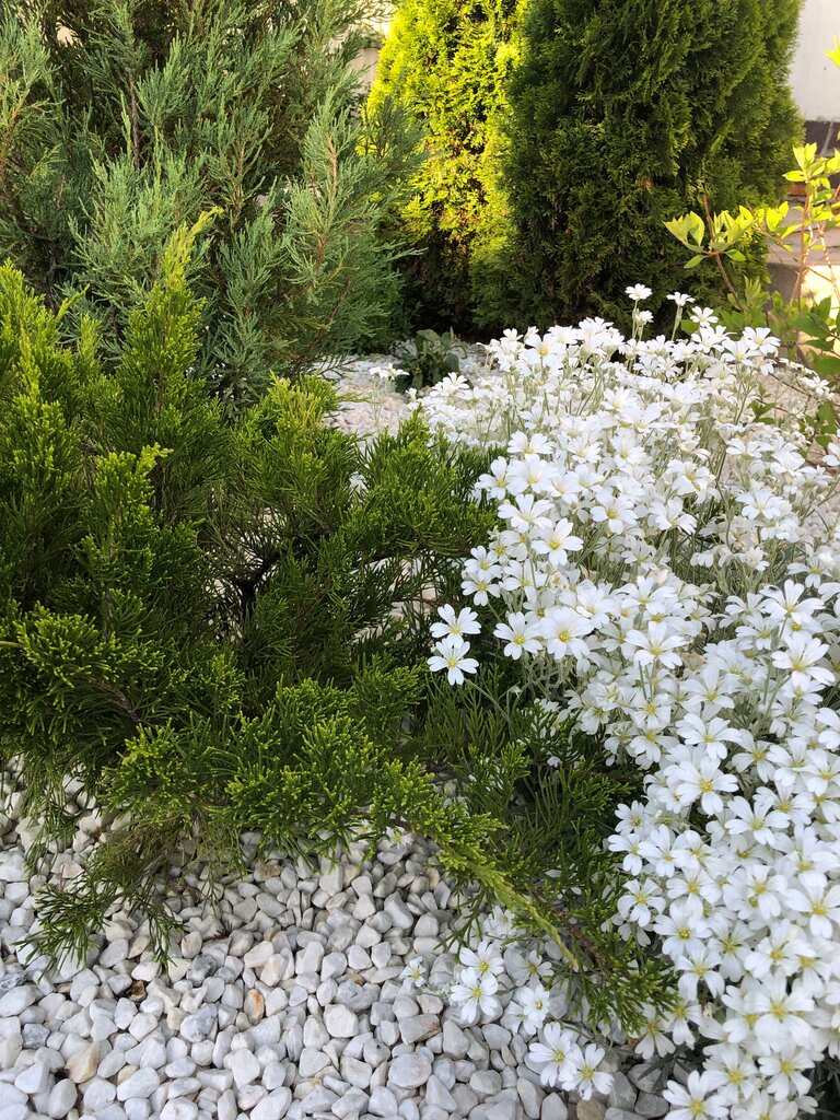 Garden center Andera, Moscow and Moscow Oblast, photo