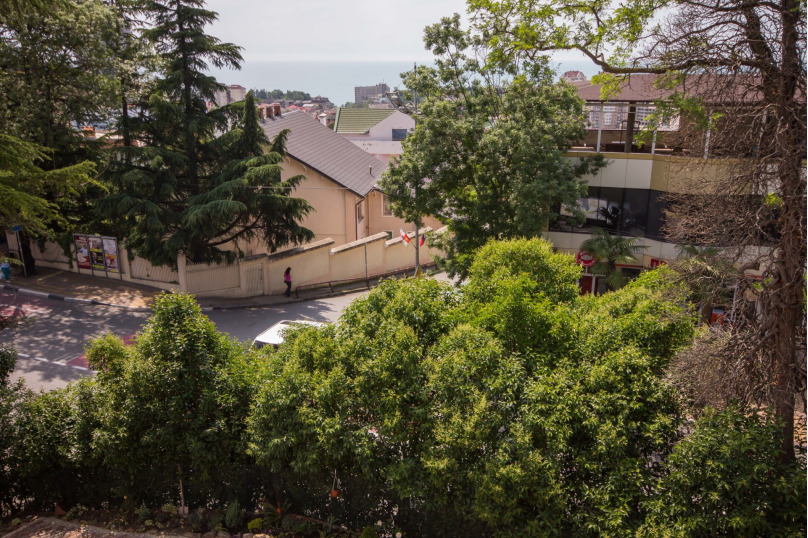 Фото Виноград