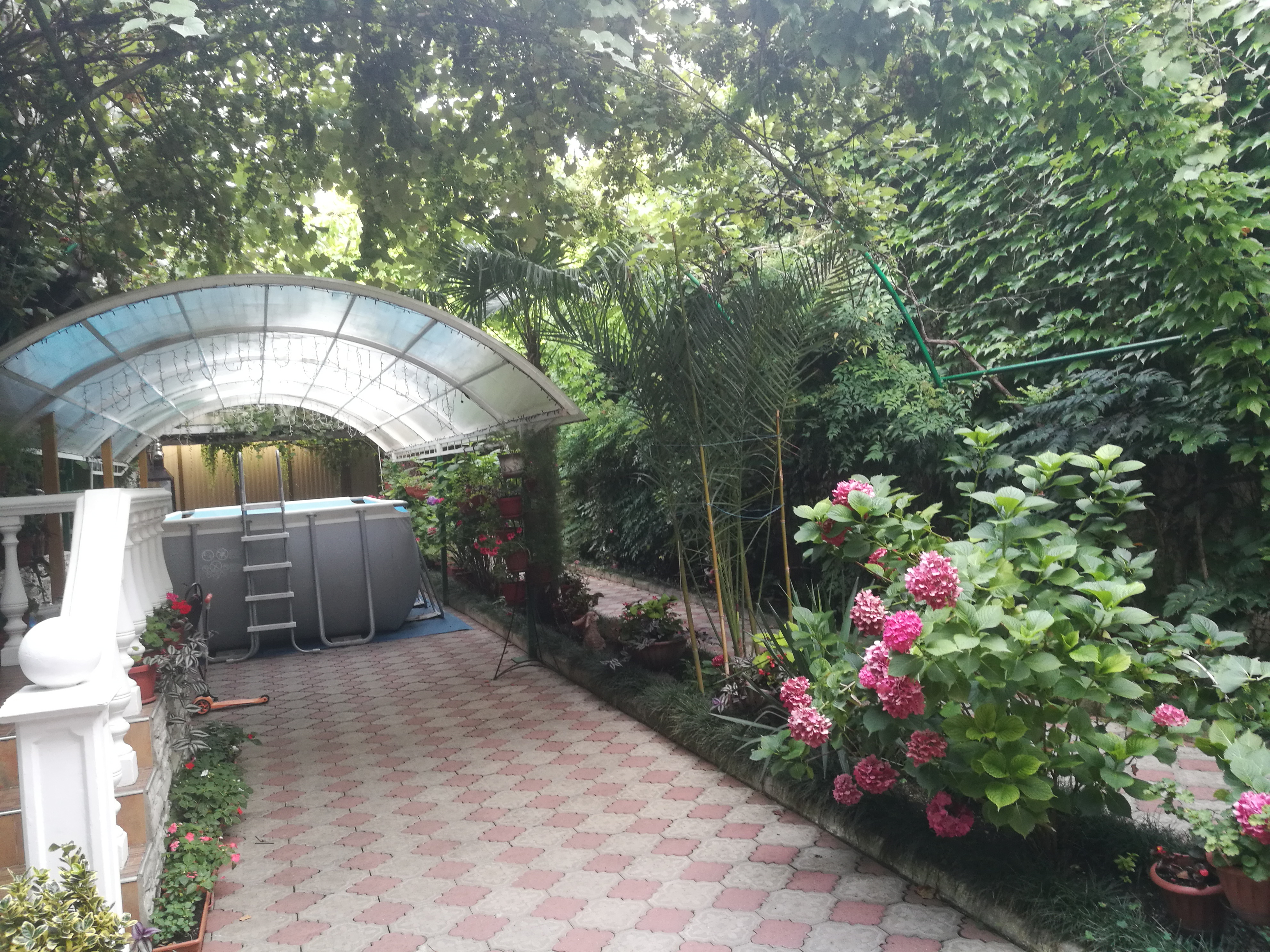 Фото Эдельвейс