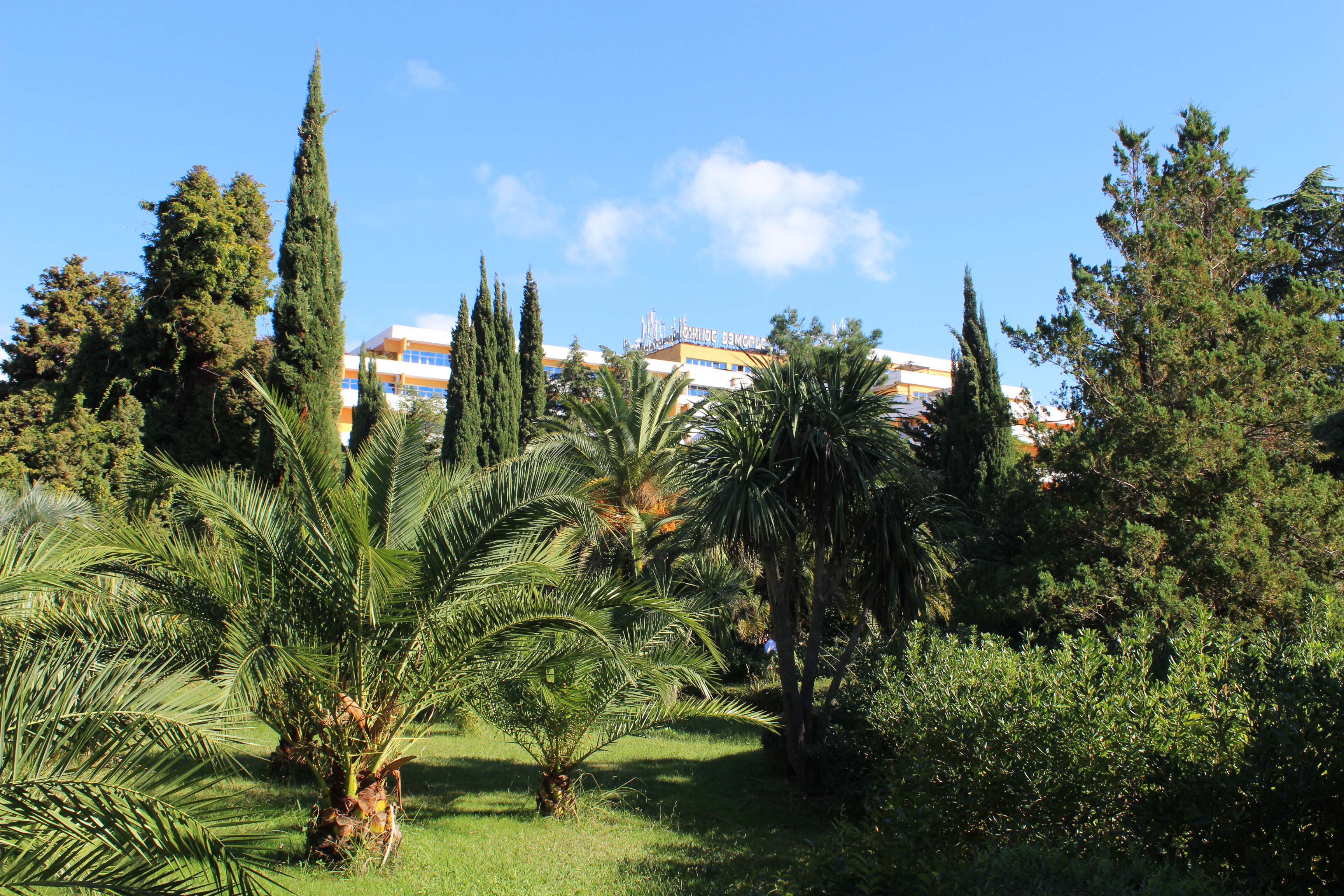 Фото Южное взморье