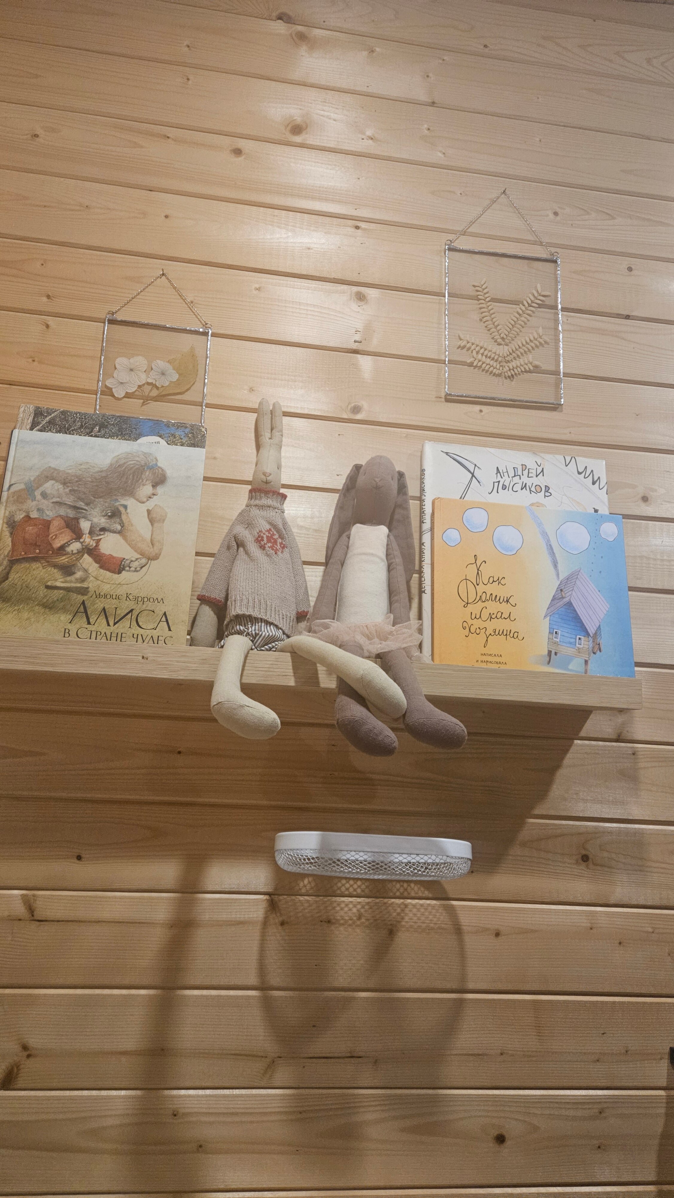 Фото Зайки в домике