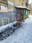 Дворовые волчата (ulitsa Michurina, 101) ، نادي رياضي، مجموعة