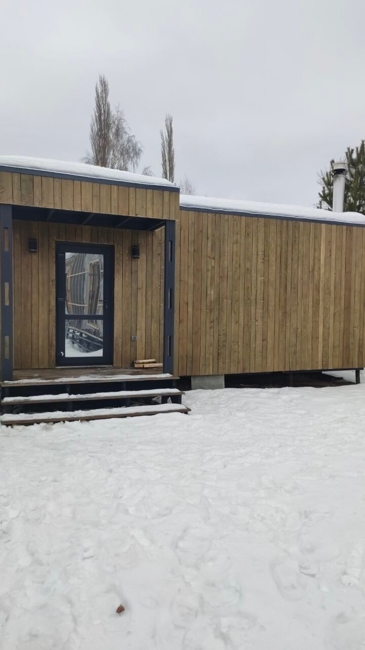 Фото 12 Сосен