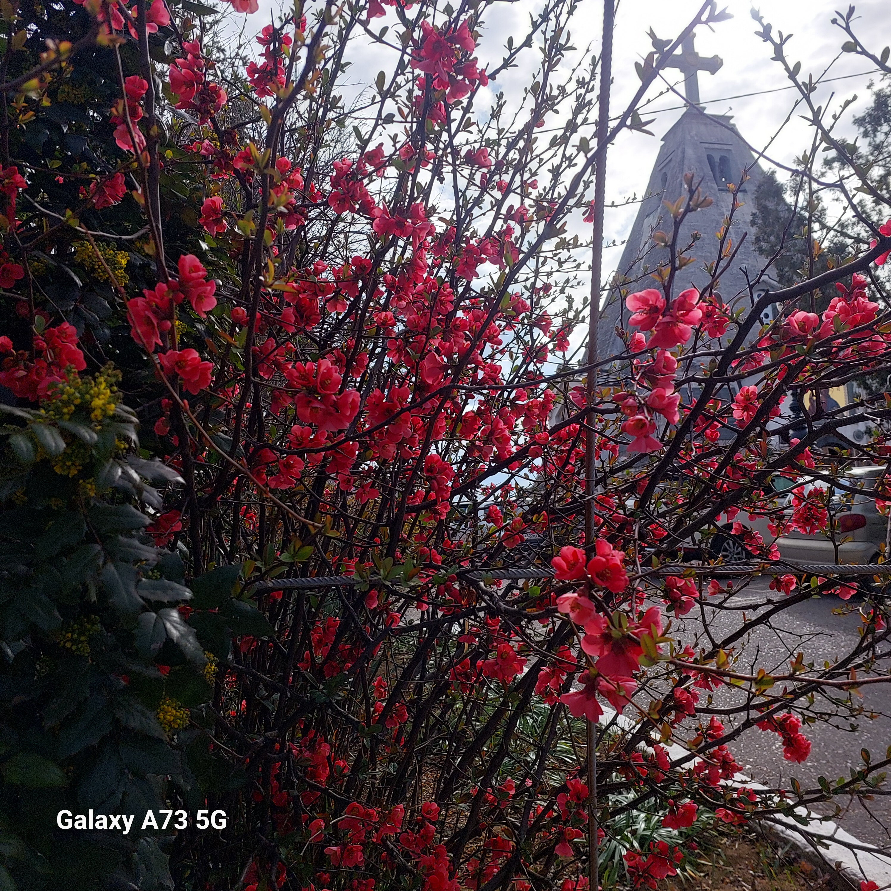 Фото Солнечный бриз