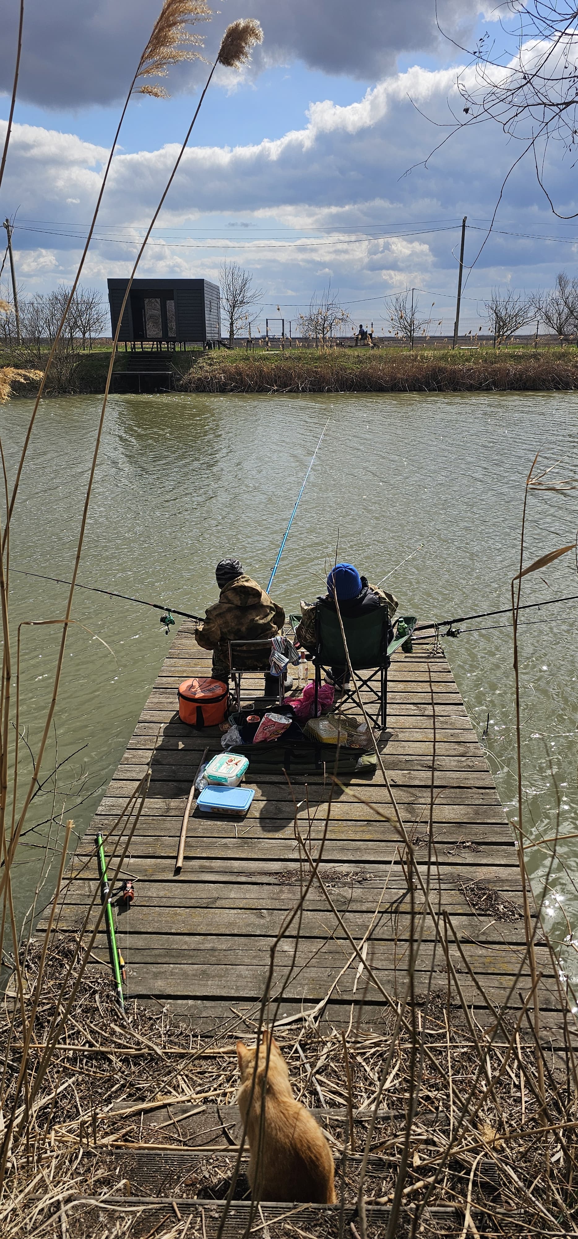 Фото Соловьиная роща