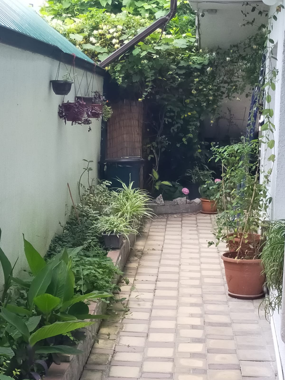 Фото Панорама