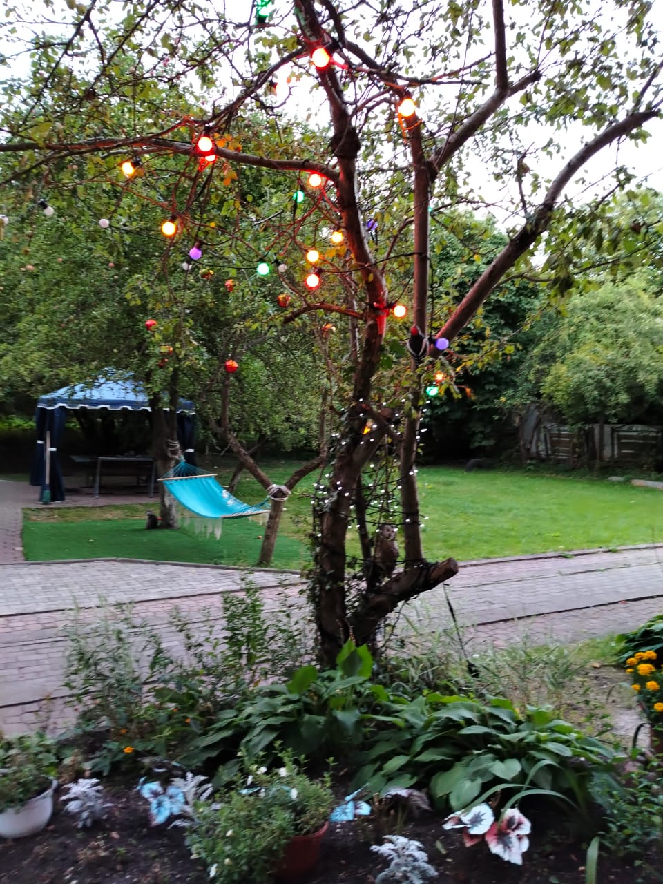 Фото Гестия