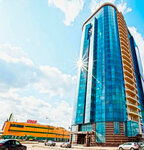 Zinga (Dmitrovskoye Highway, 163Ак2), industrial chemistry