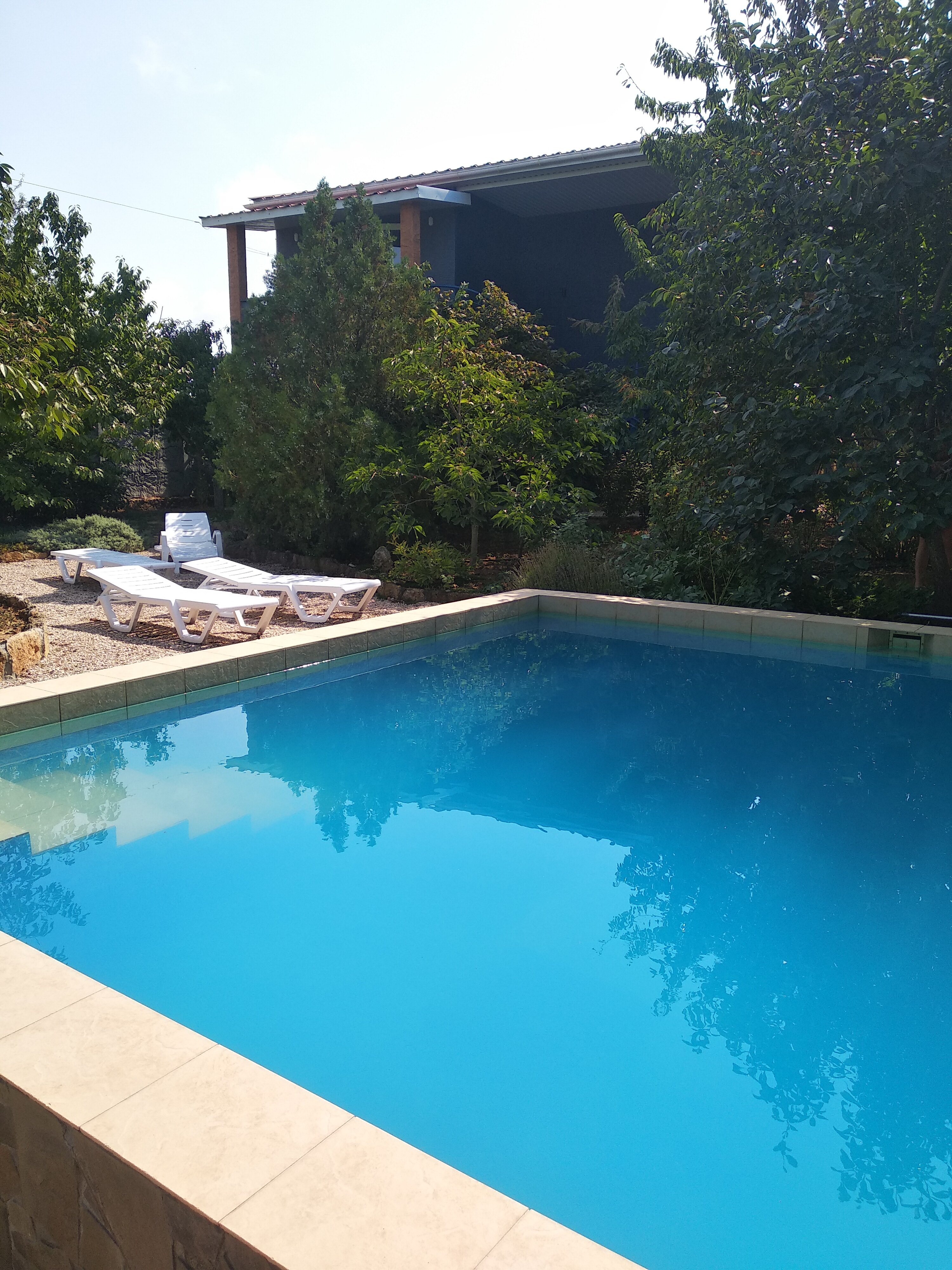 Фото Шардоне