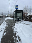 Новинки (Moscow Region, Losino-Petrovsky, ulitsa 7 Noyabrya), public transport stop