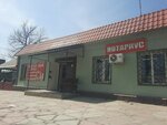 Notary (Joldasbekov kóshesi, 53/1), notaries