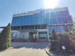 Business Hotel Almaty (Raiymbek Avenue, 298А), hotel