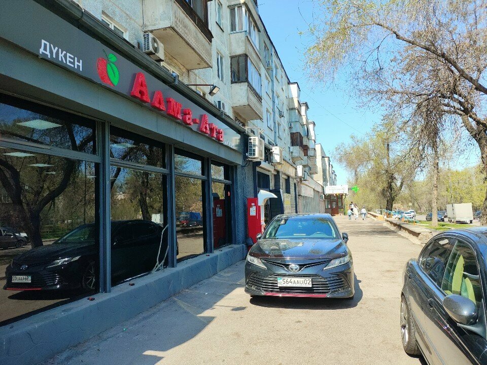 Payment terminal Qiwi, Almaty, photo