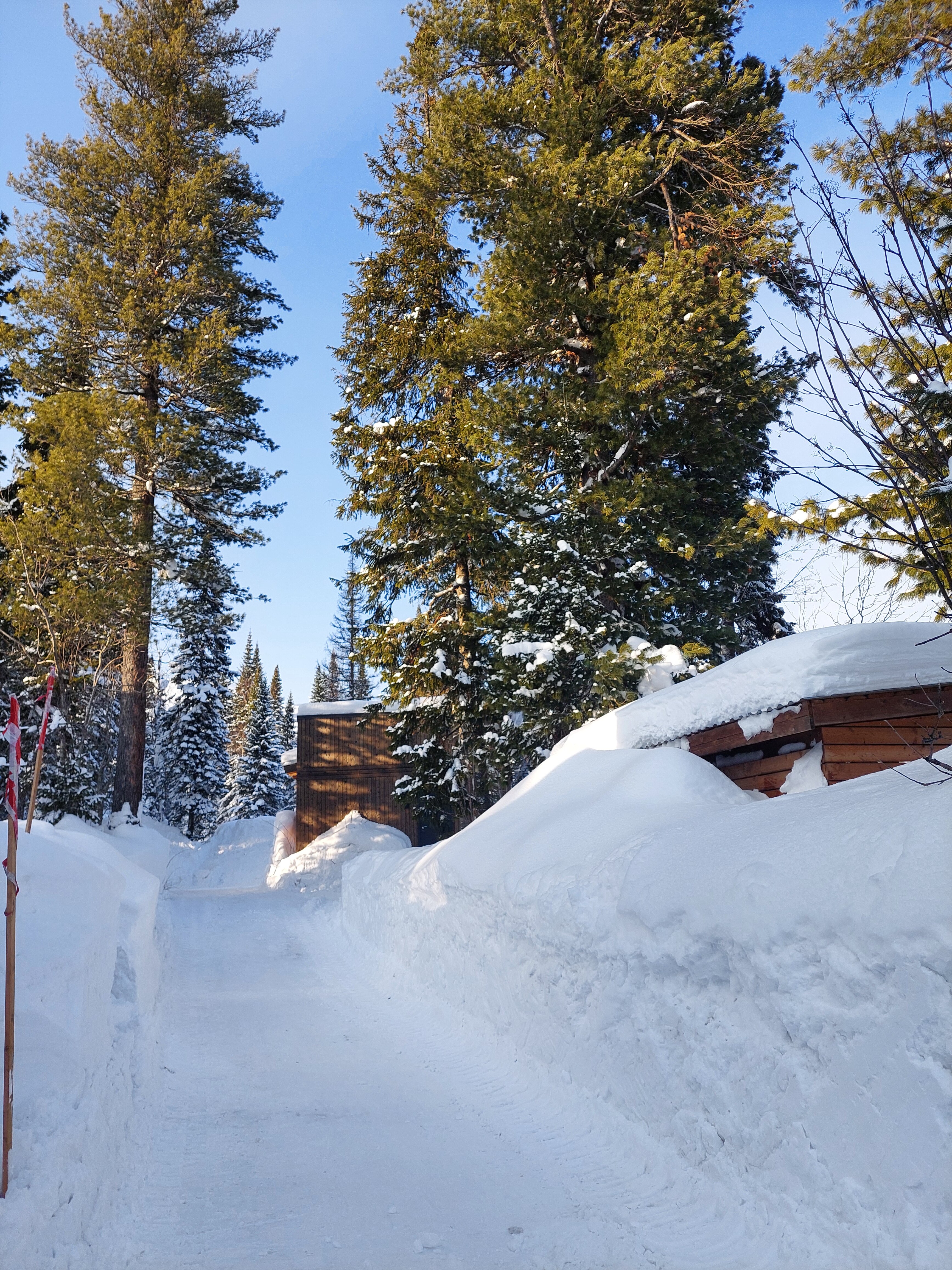 Фото Альпика Хаус