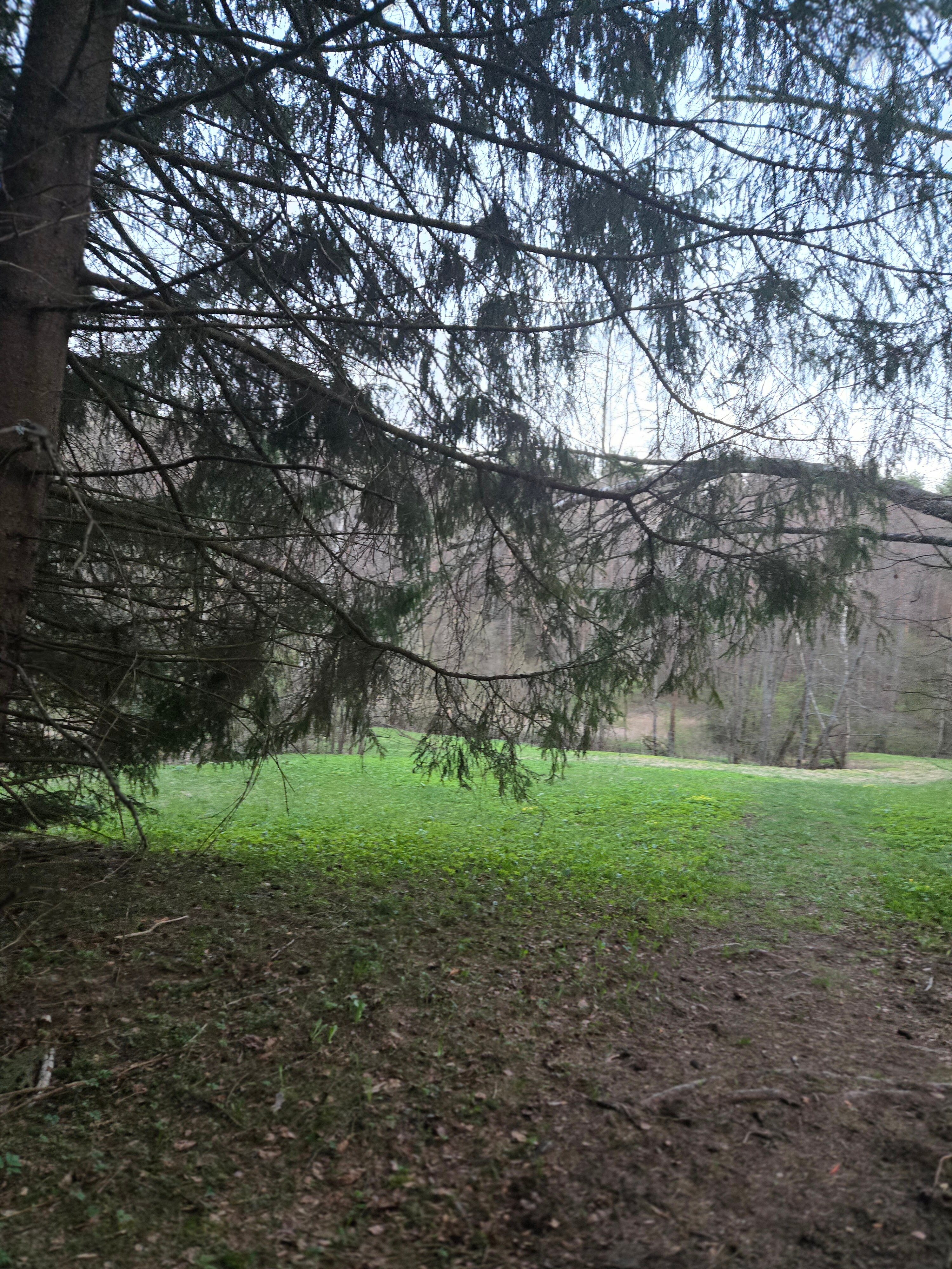 Фото Дар. Велегож