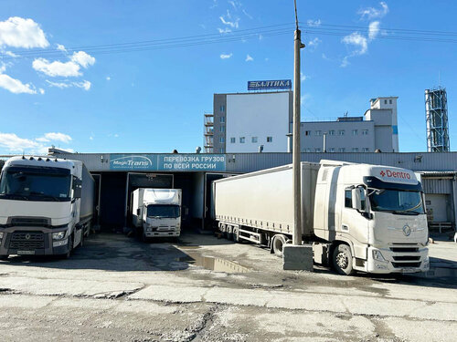 семіз ана шұбар