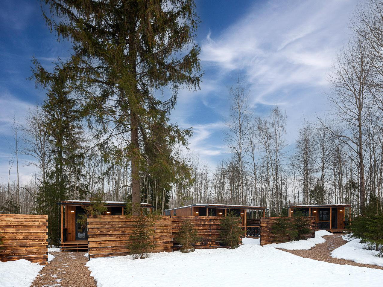 Фото Шишкин Place