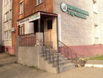 Нива (Cheboksary, Mira Avenue, 82) ، مدرسة لتعليم القيادة