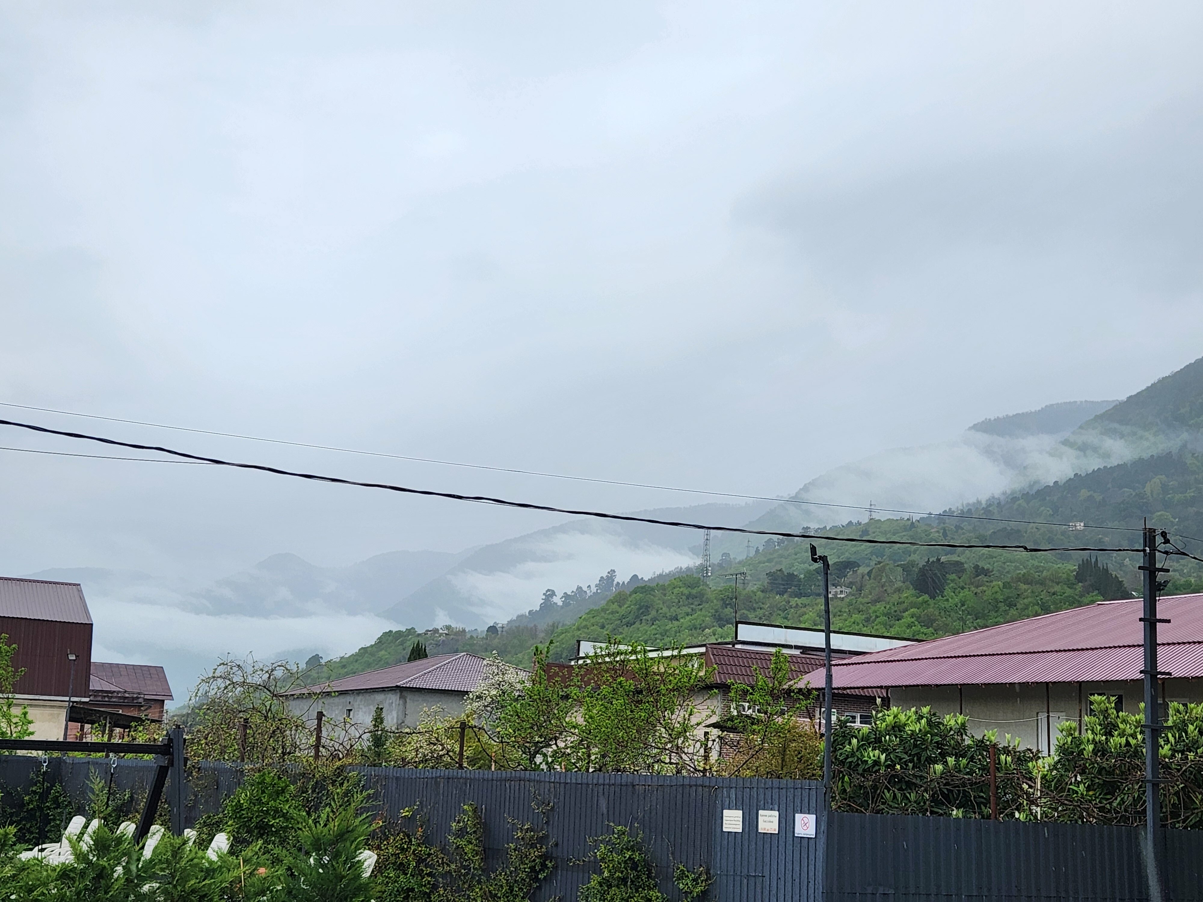 Фото Таминик