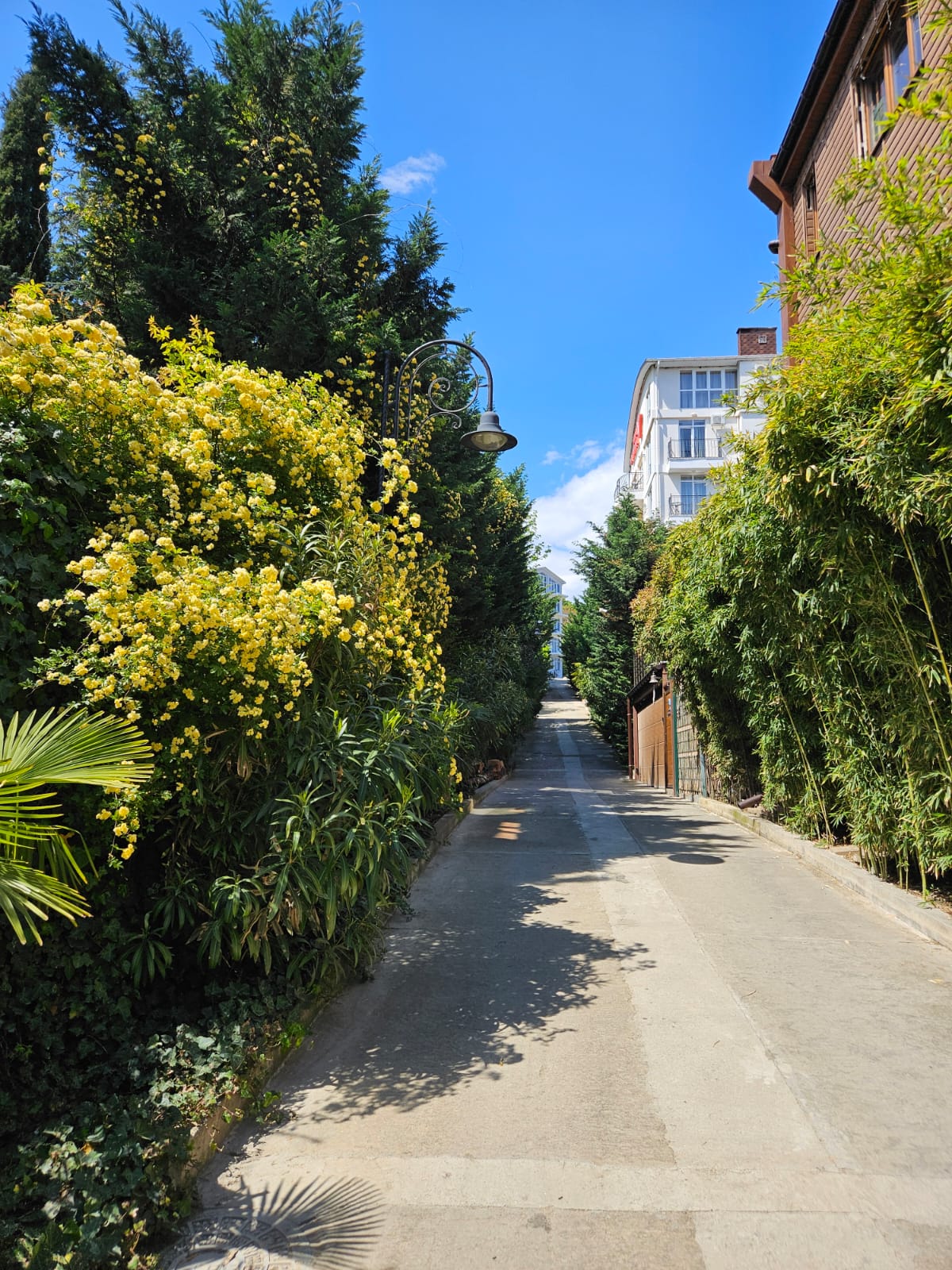 Фото Софи Голд