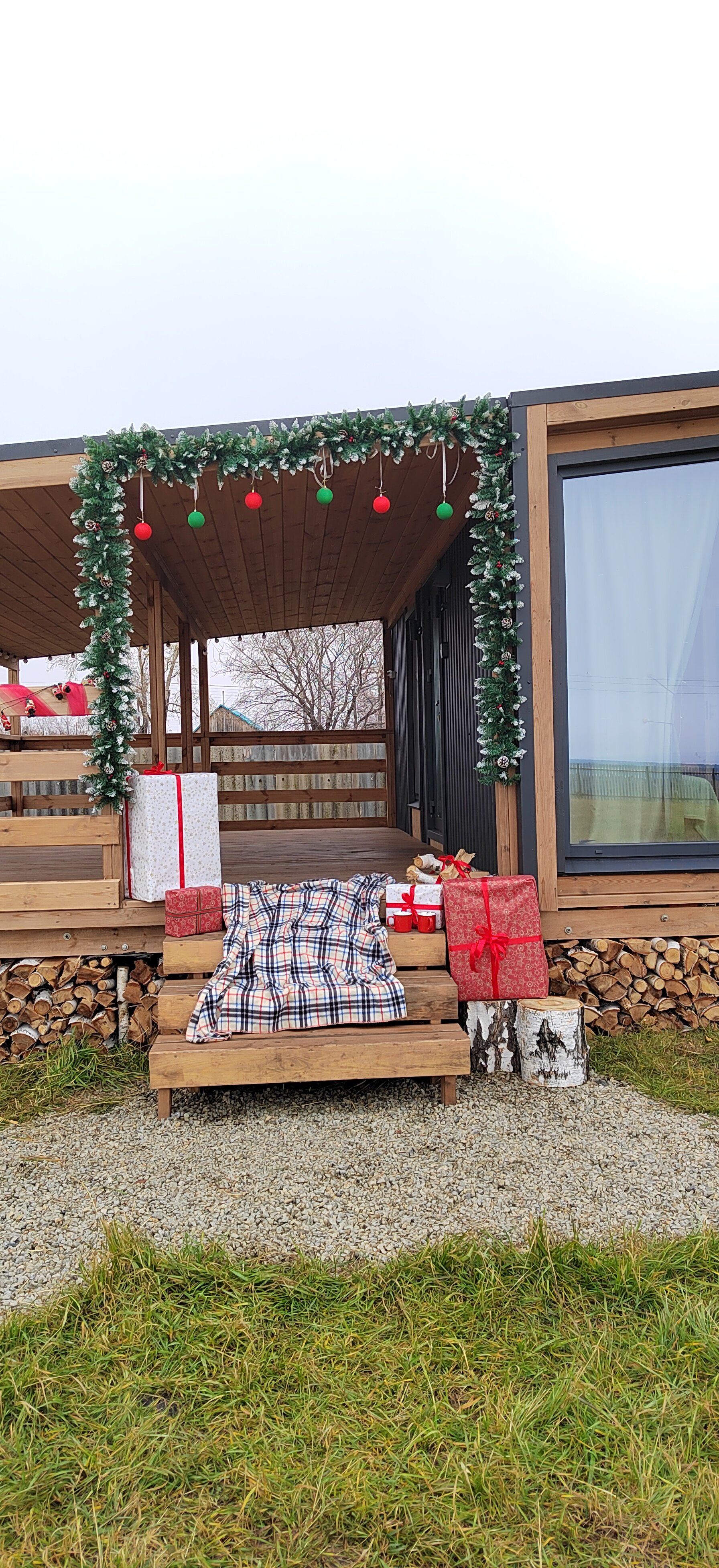 Фото Малина кемп