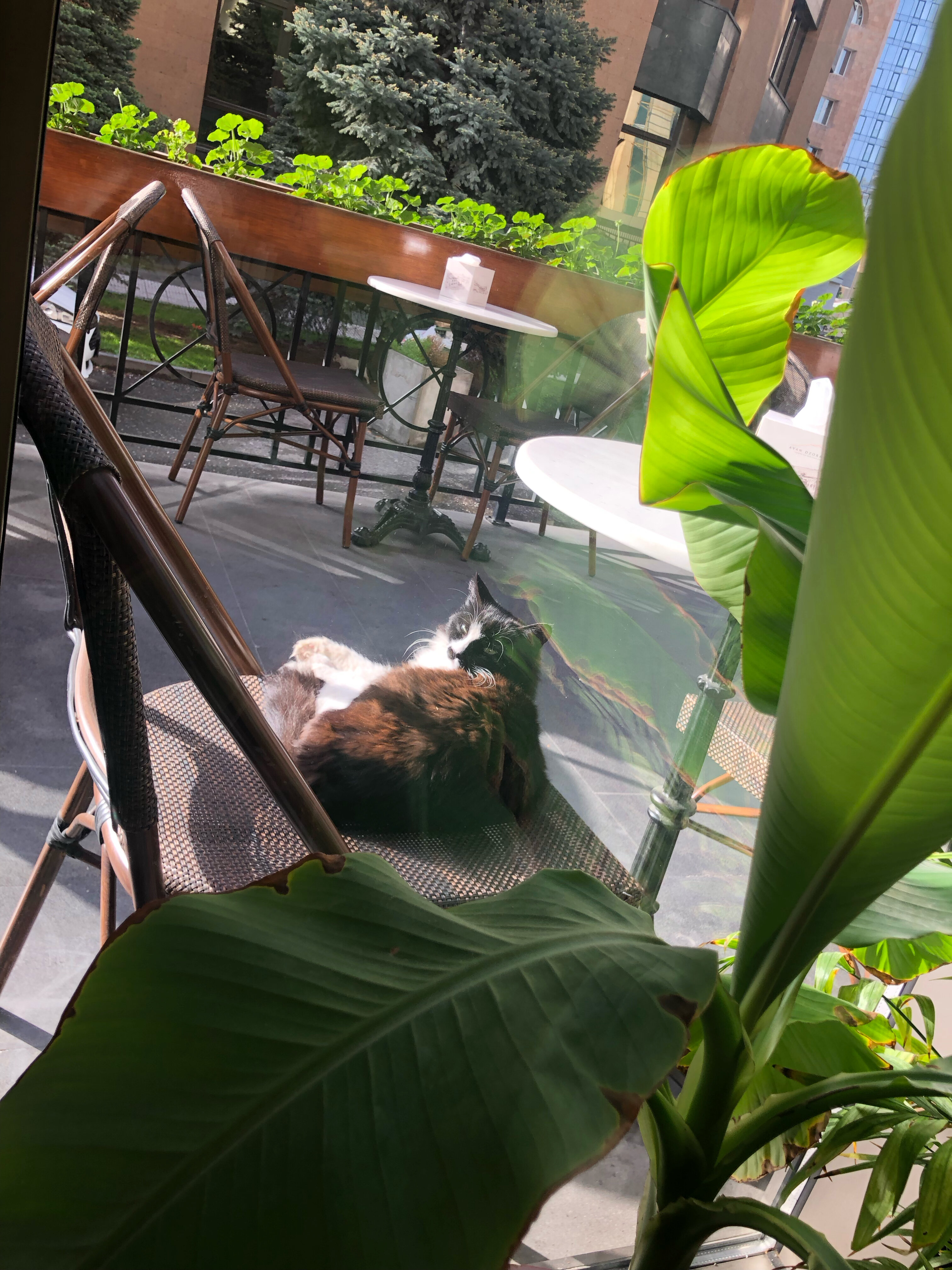 Фото Tufenkian Historic Yerevan Hotel