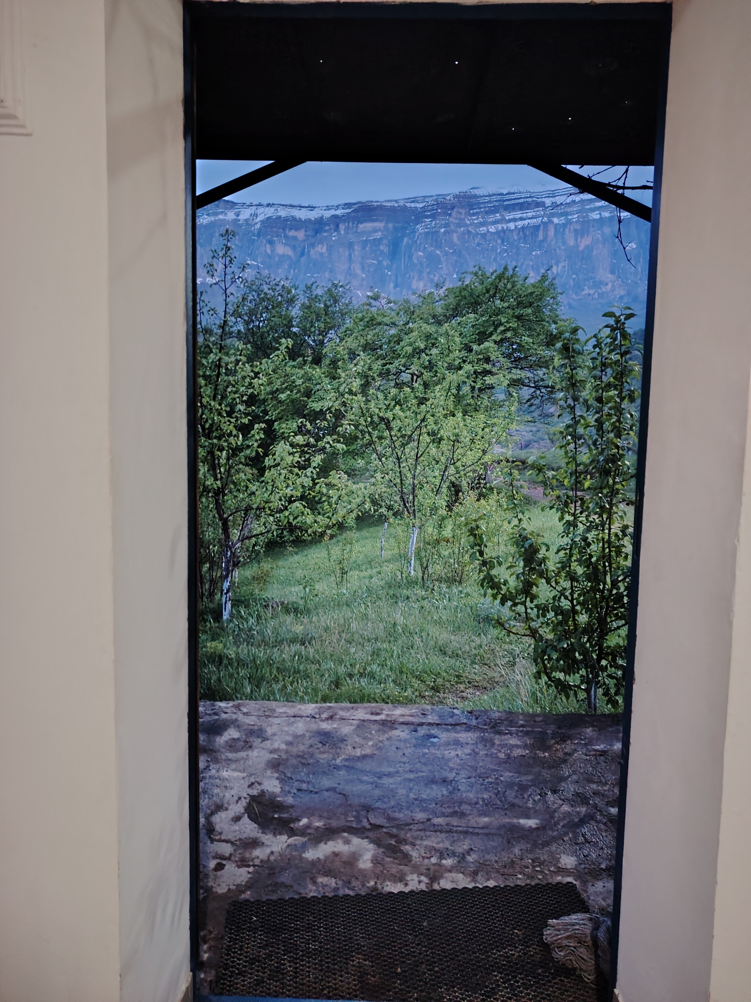 Фото Дубовая Роща