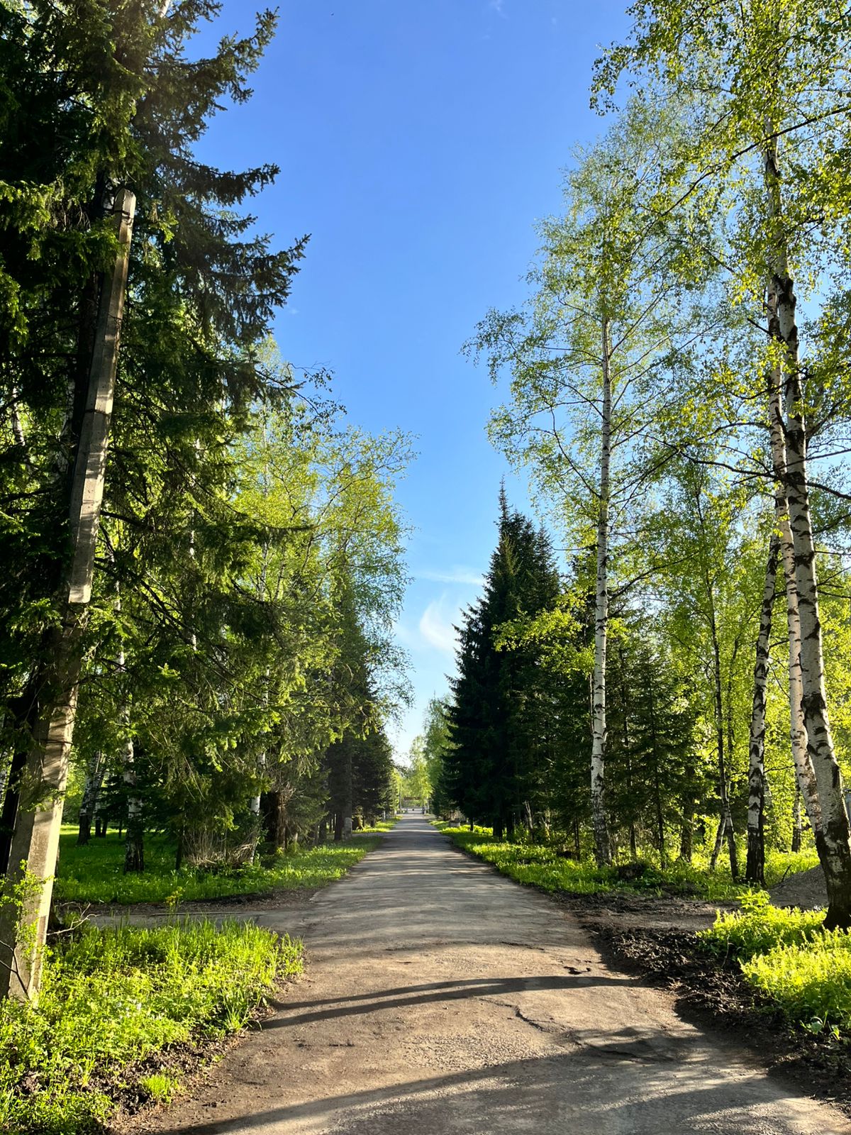 Фото Оздоровительный городок Дружба