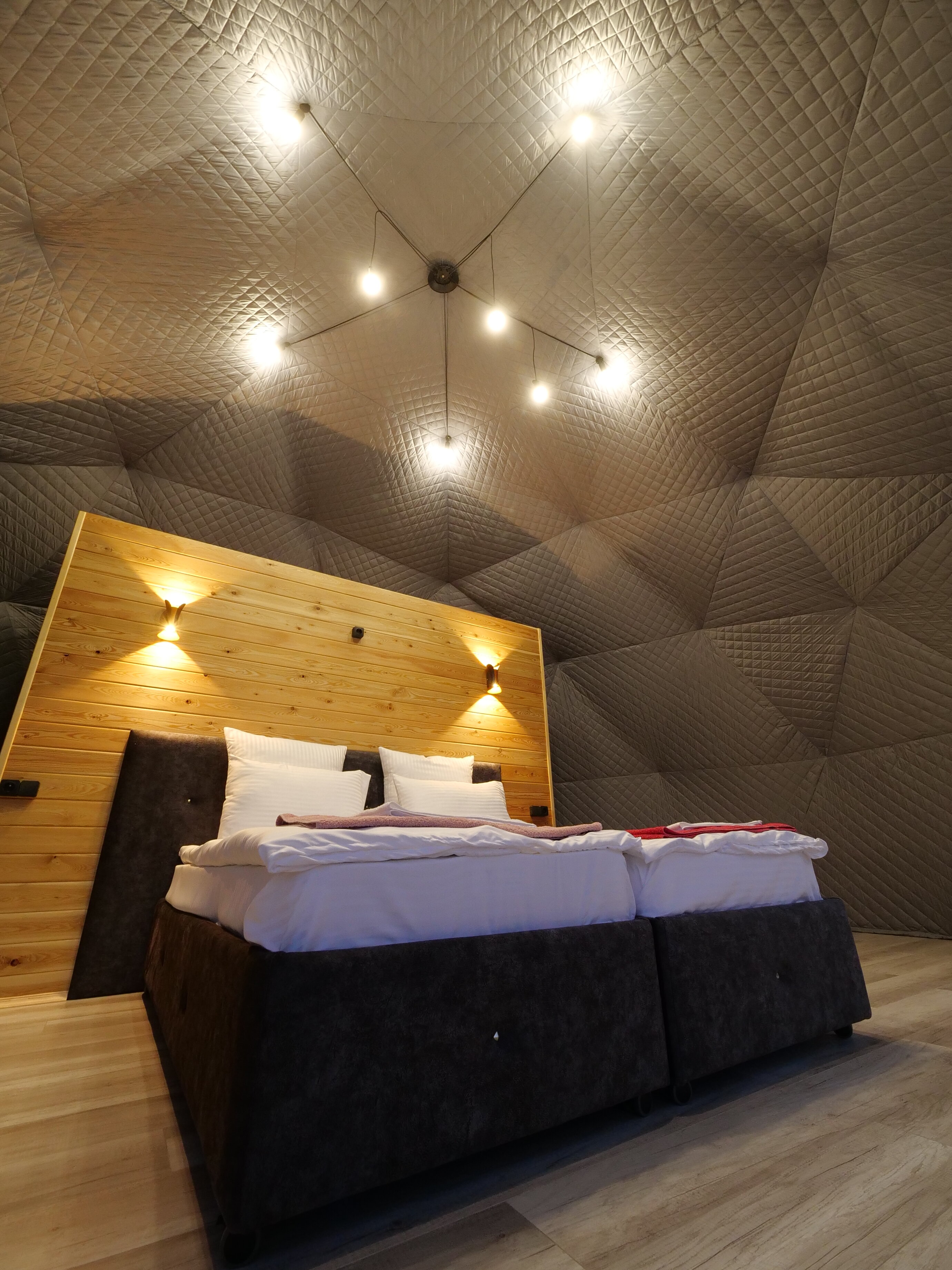 Фото Брусника