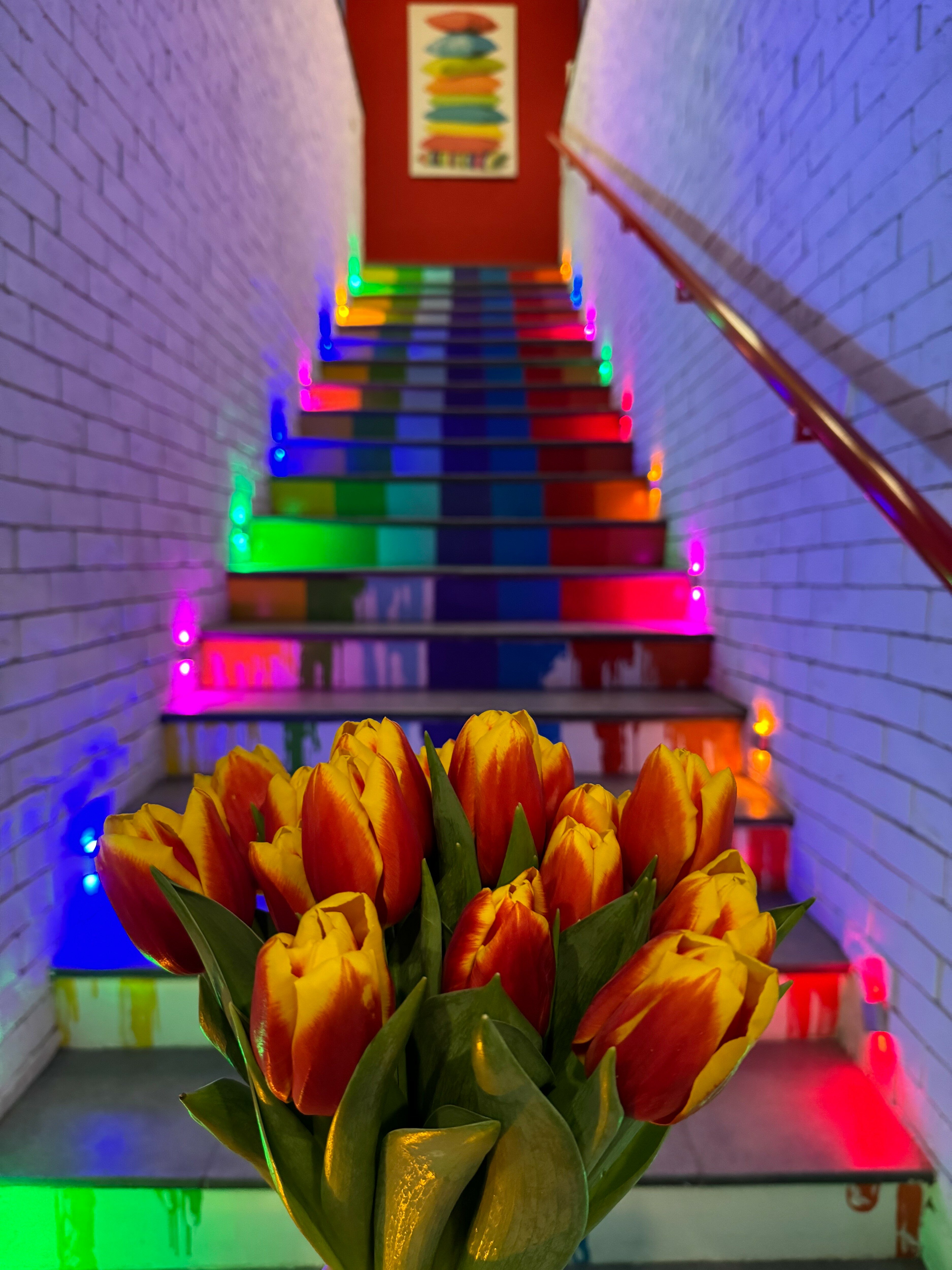 Фото Краски