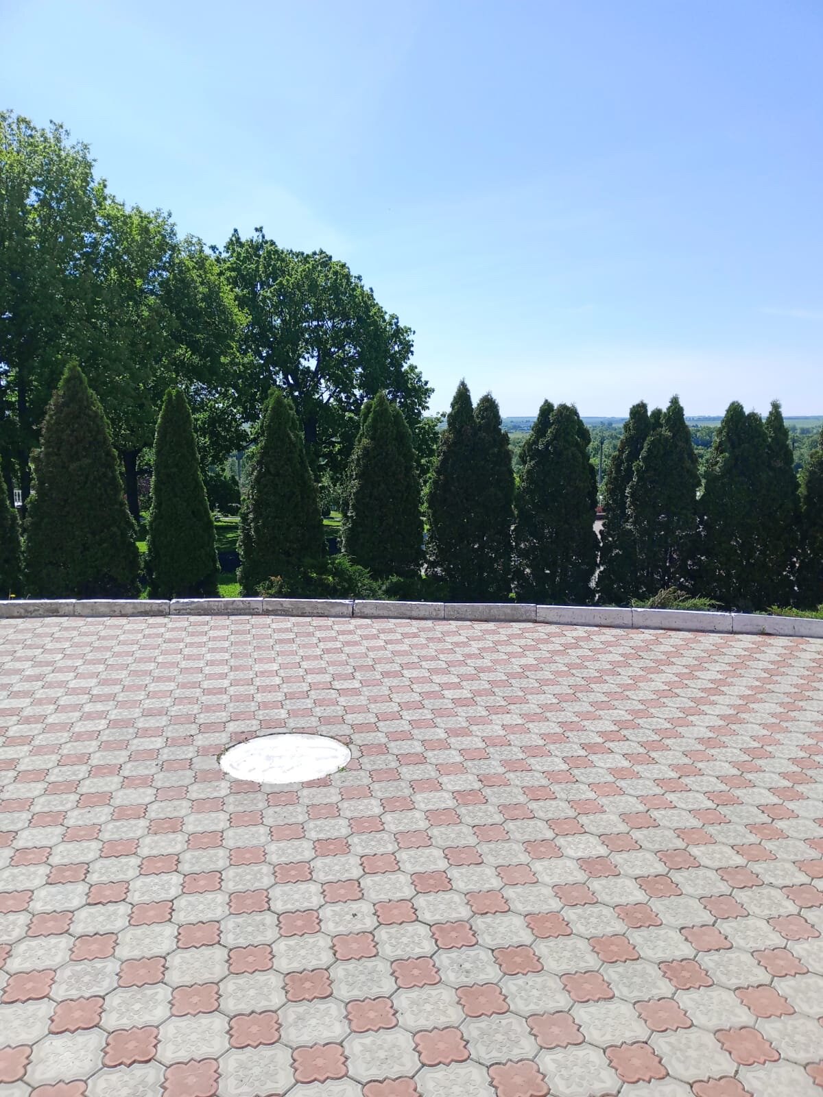 Фото Вишнёвая Поляна