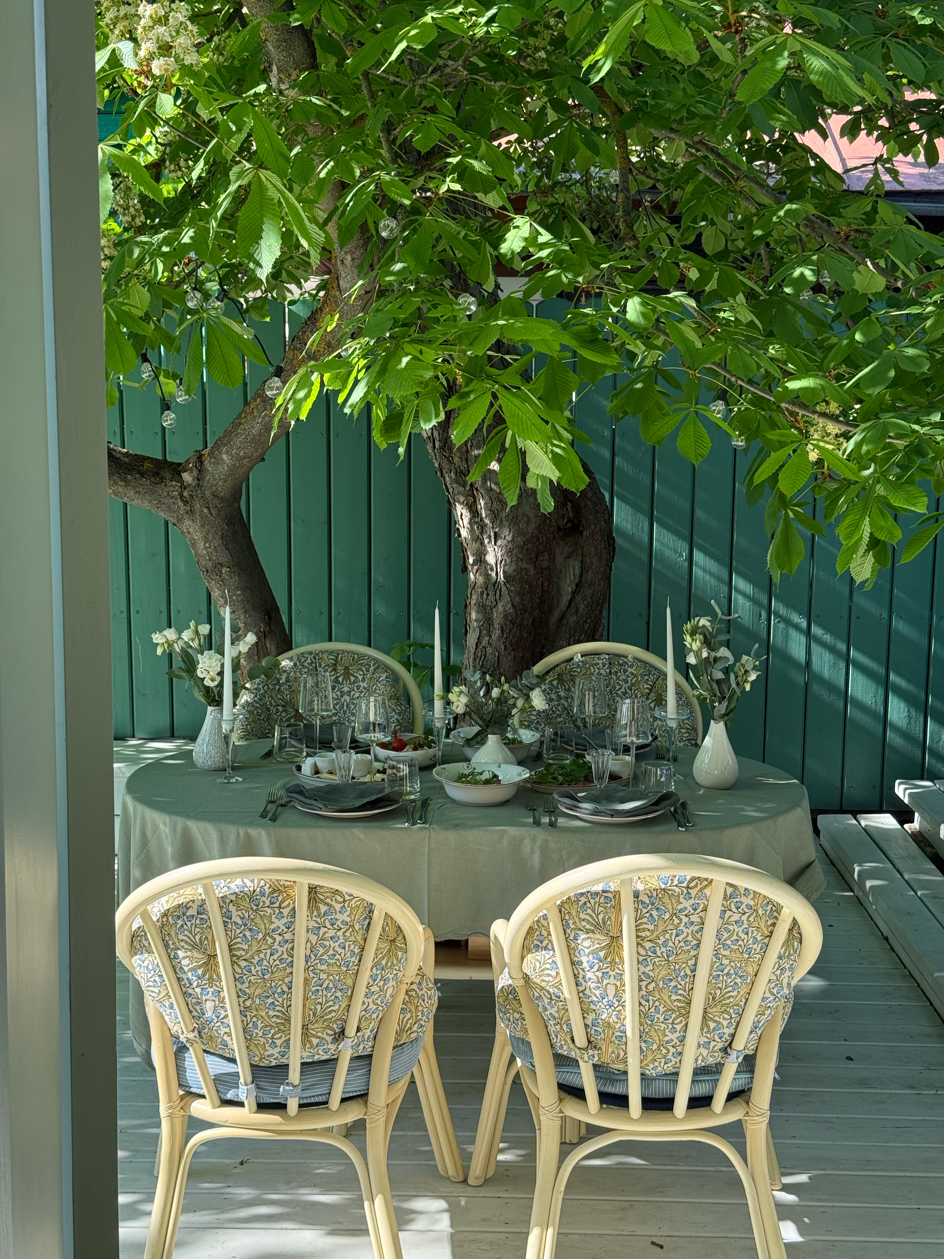 Фото Дымов Дача - Синий Дом