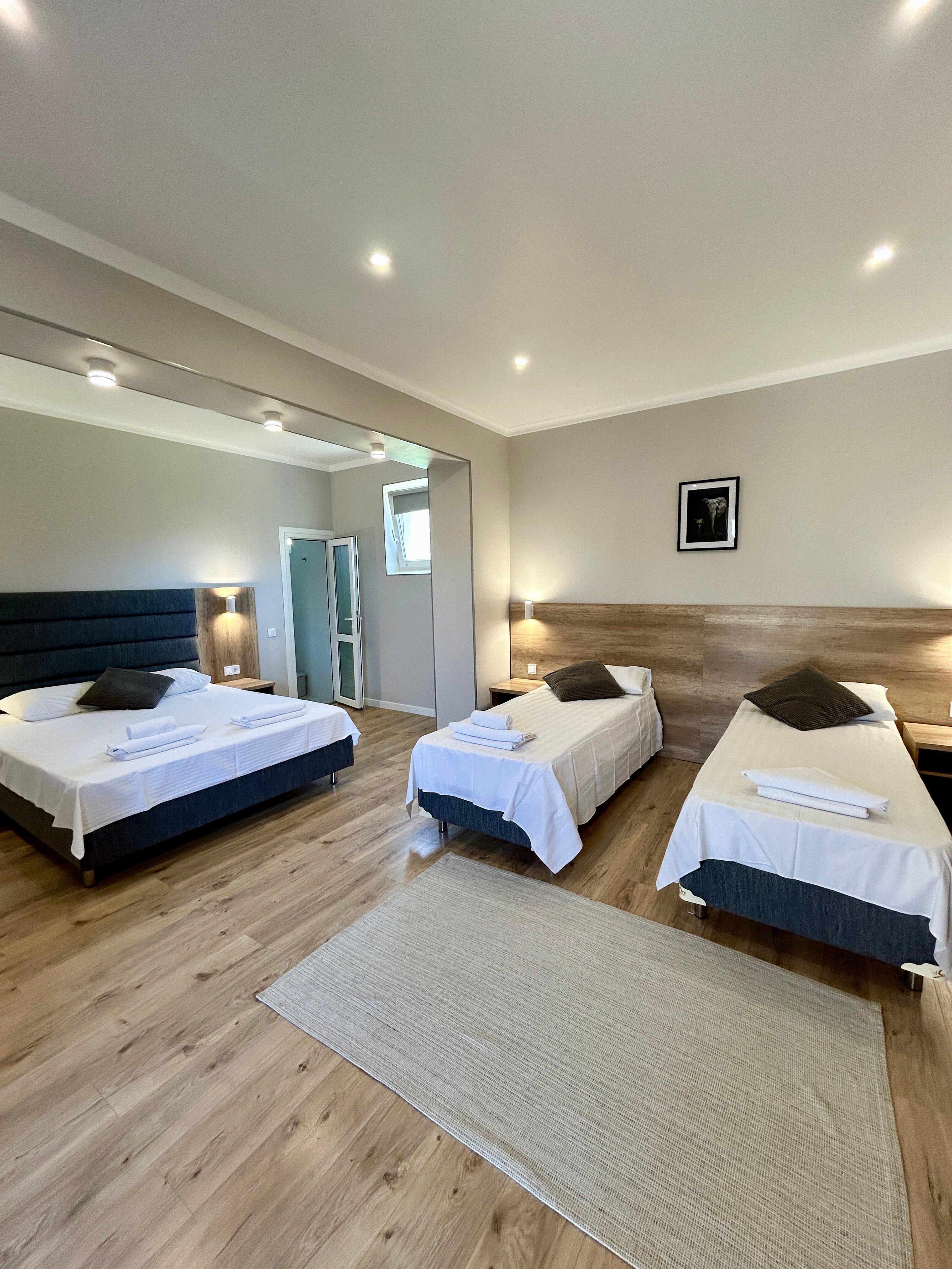 Фото Альбатрос