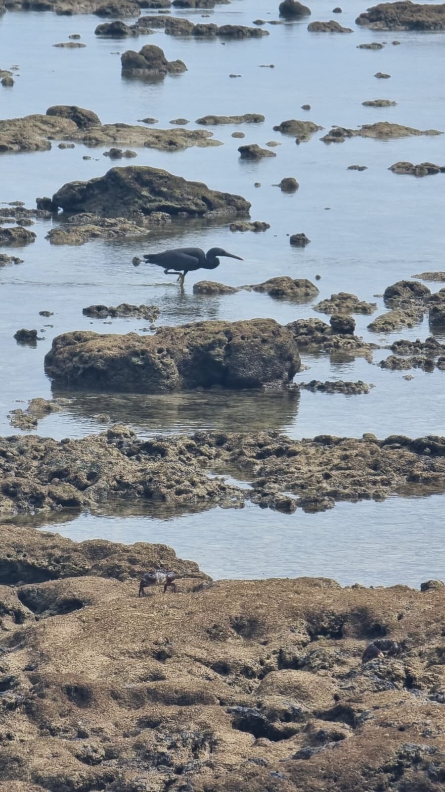 Фото Thavorn Beach Village Resort & SPA