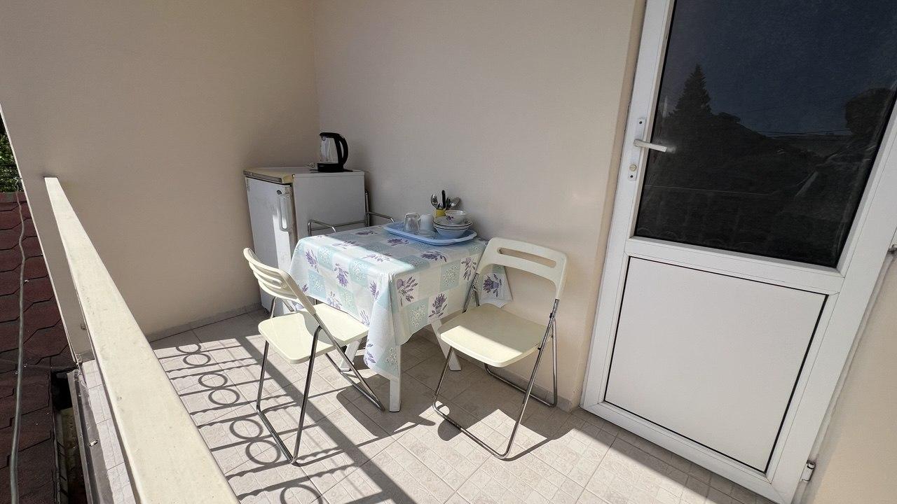 Фото Камелия