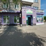 Yermolino (ulitsa Lenina, 11) ، محل بقالة