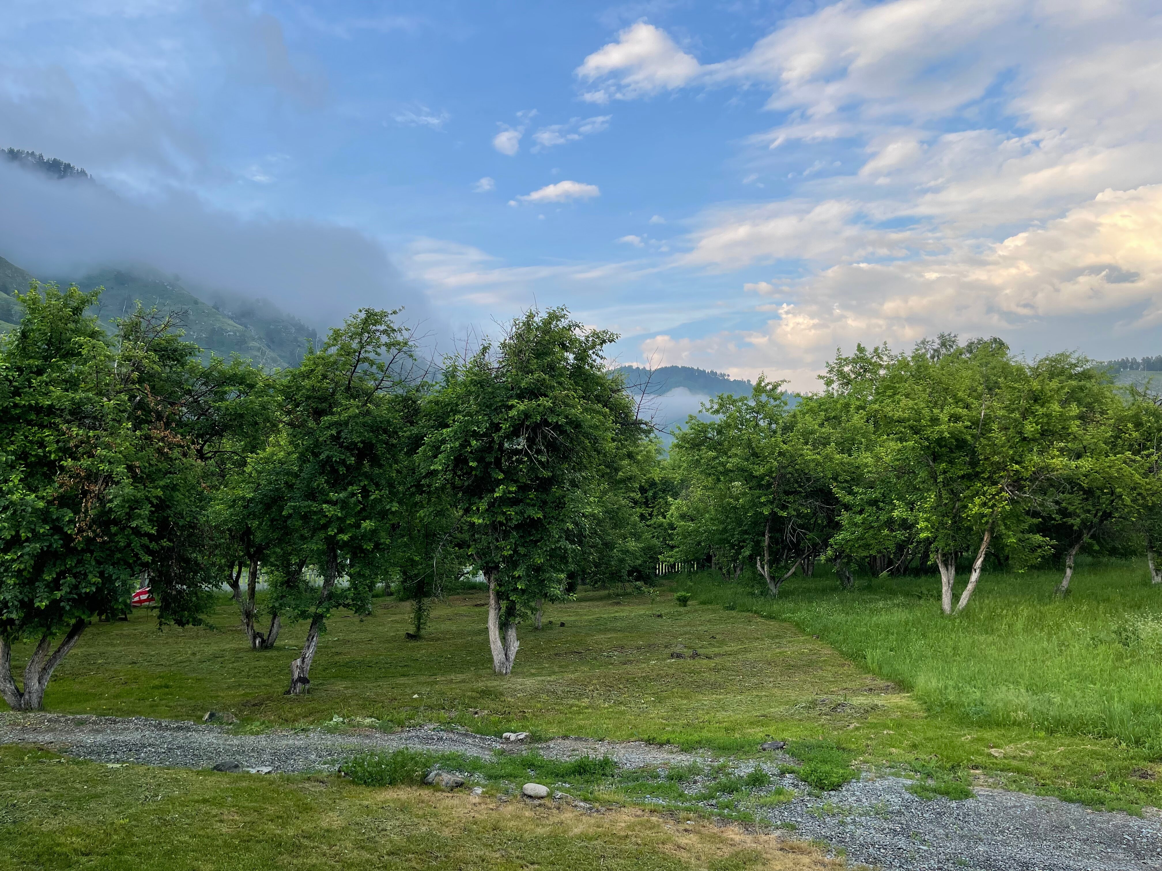 Фото Апартаменты Алама