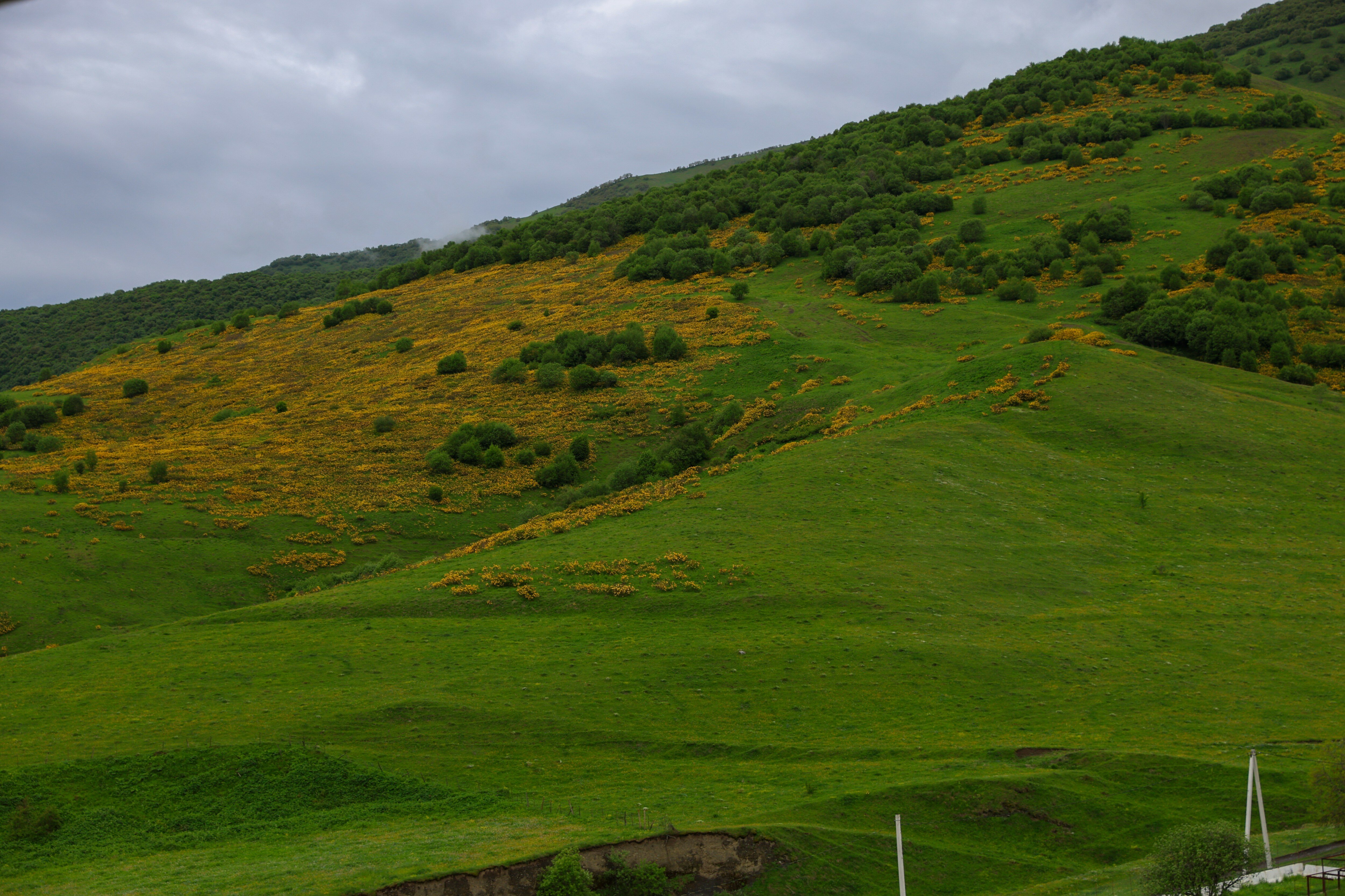 Фото Cosmos Vladikavkaz La Vallee Hotel