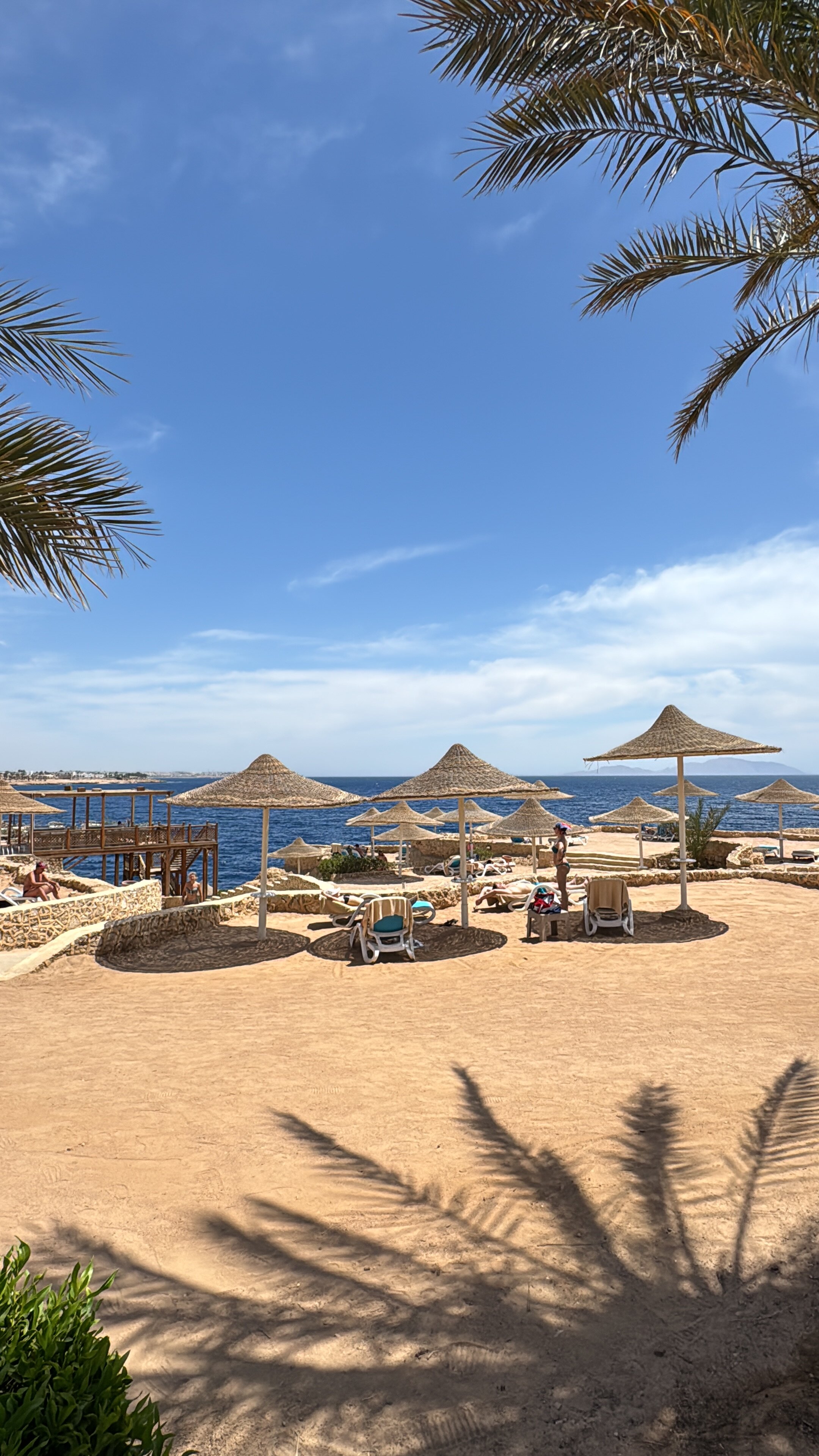 Фото Dreams Vacation Resort - Sharm El Sheikh