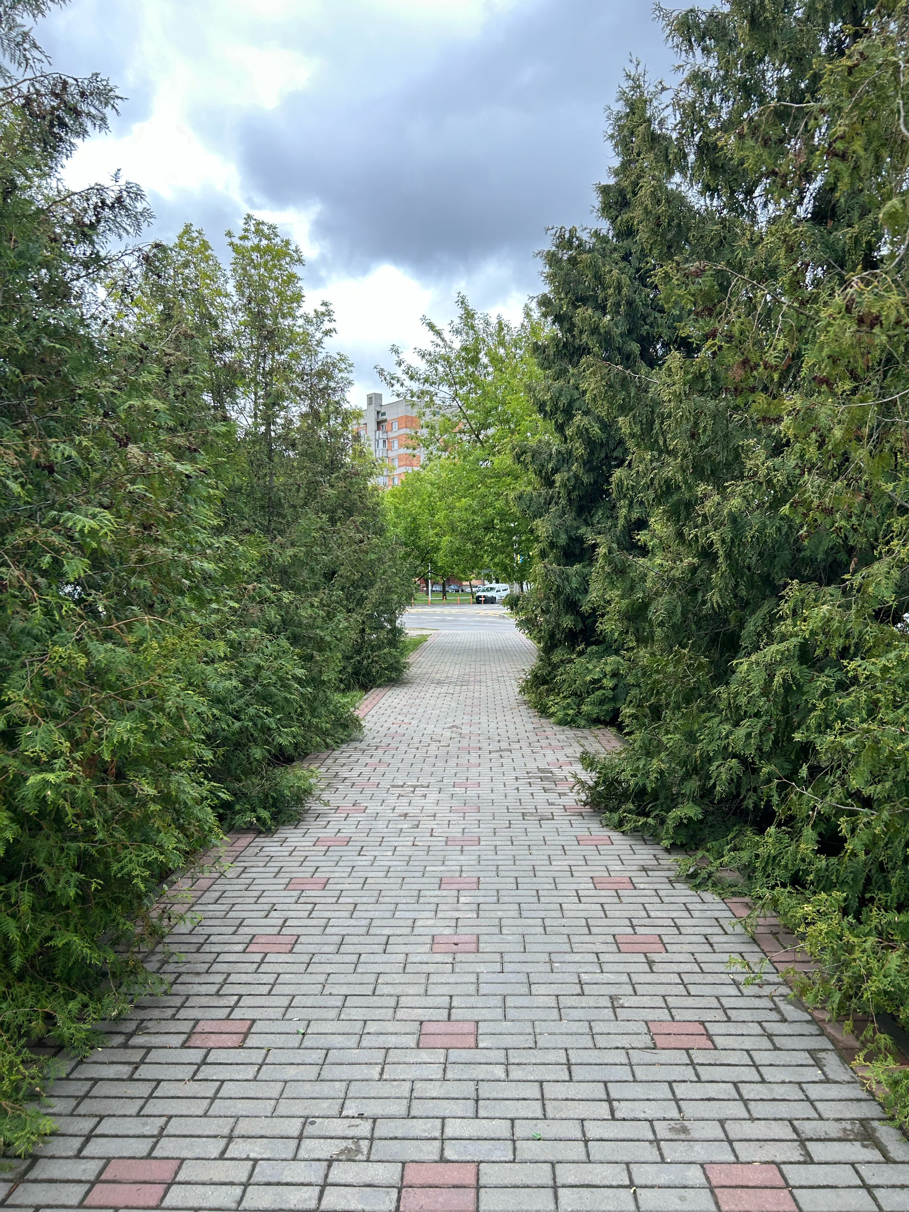 Фото Юность