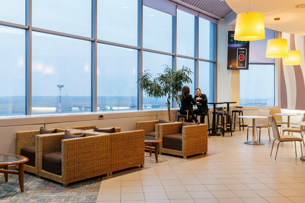 Бронирование vip-залов в аэропортах Бизнес-зал Радиус аэропорта Домодедово, Москва и Московская область, фото