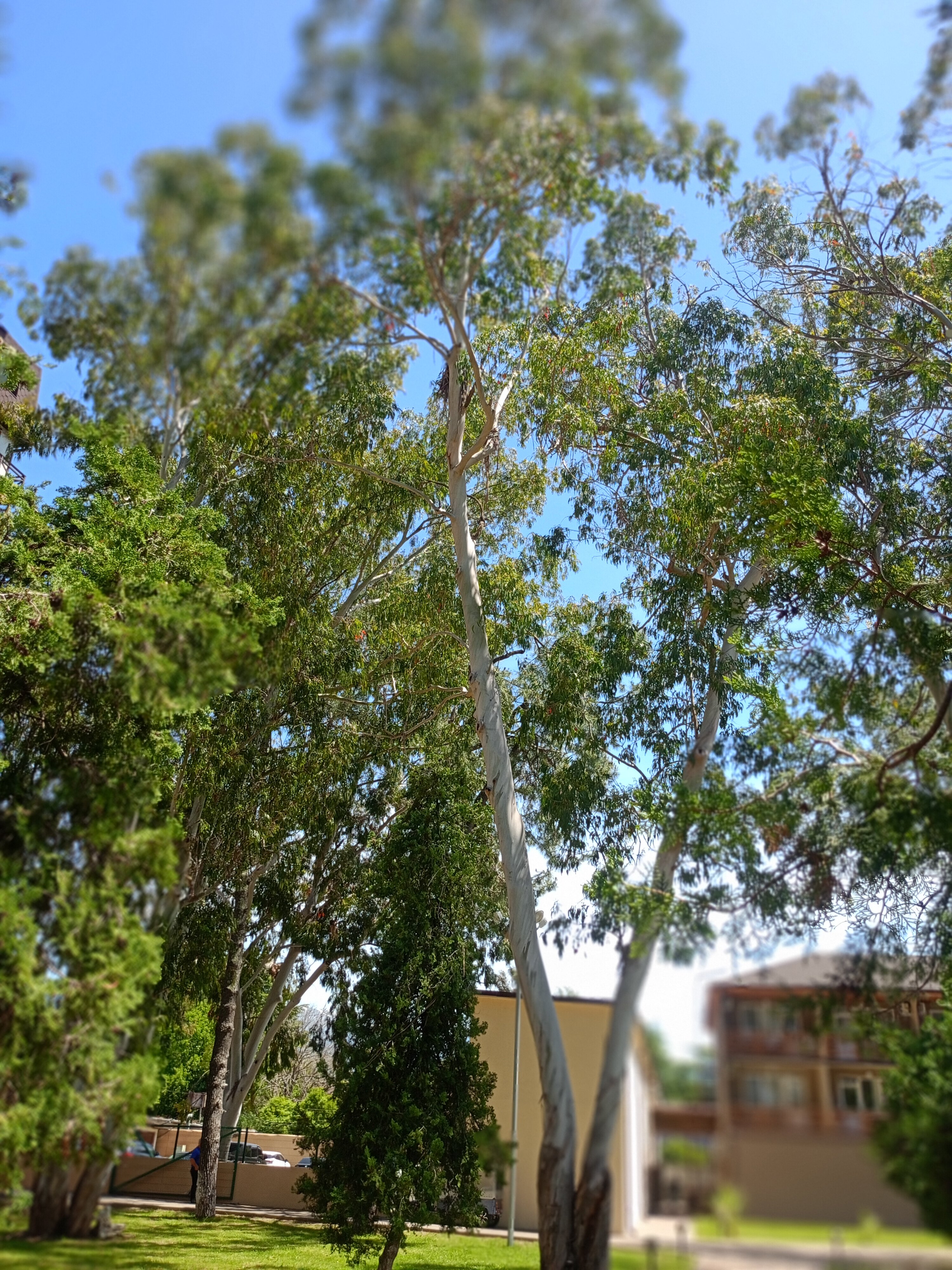 Фото Гостевой Дом Сатен