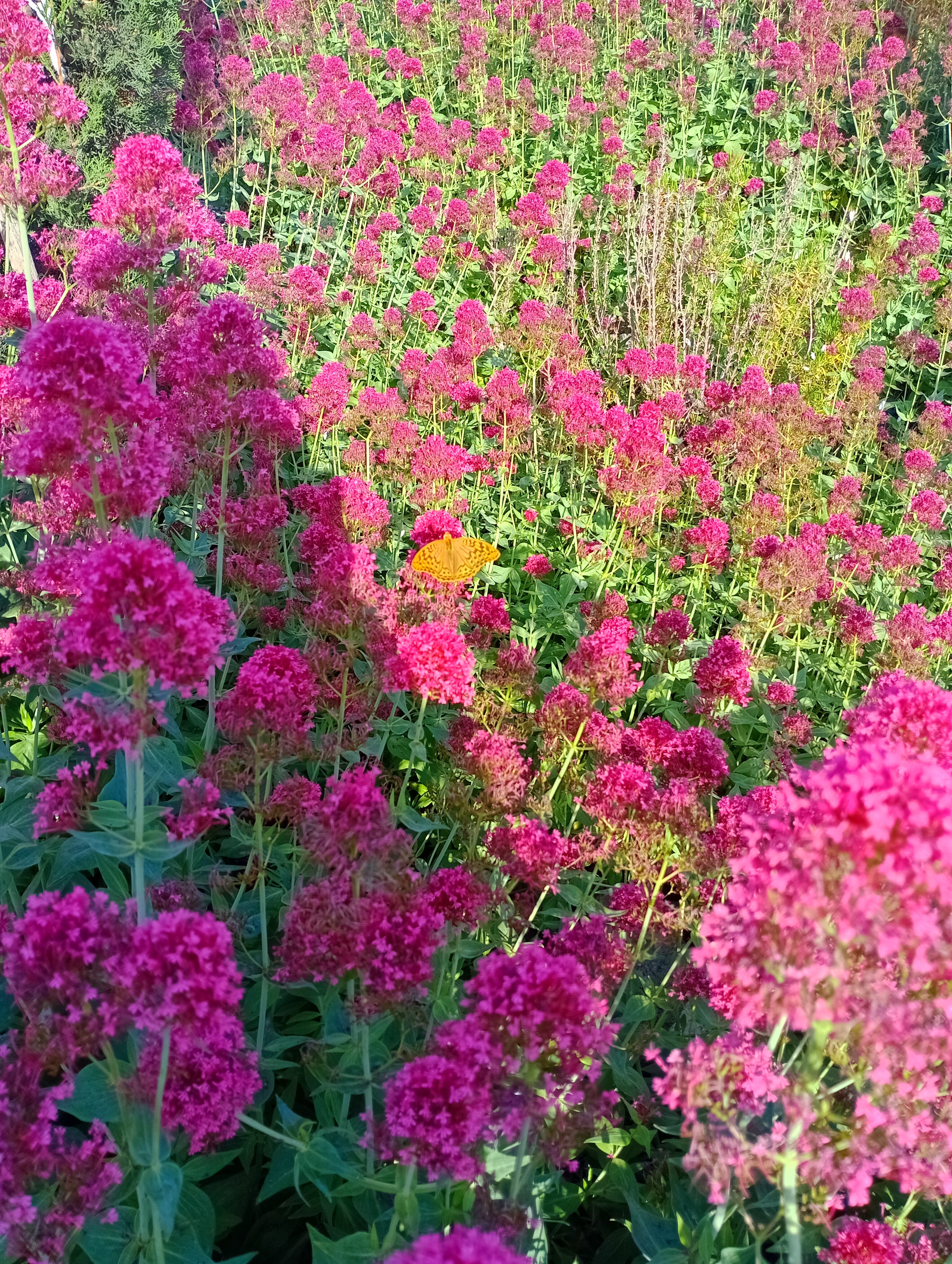 Фото ЧерноМорское