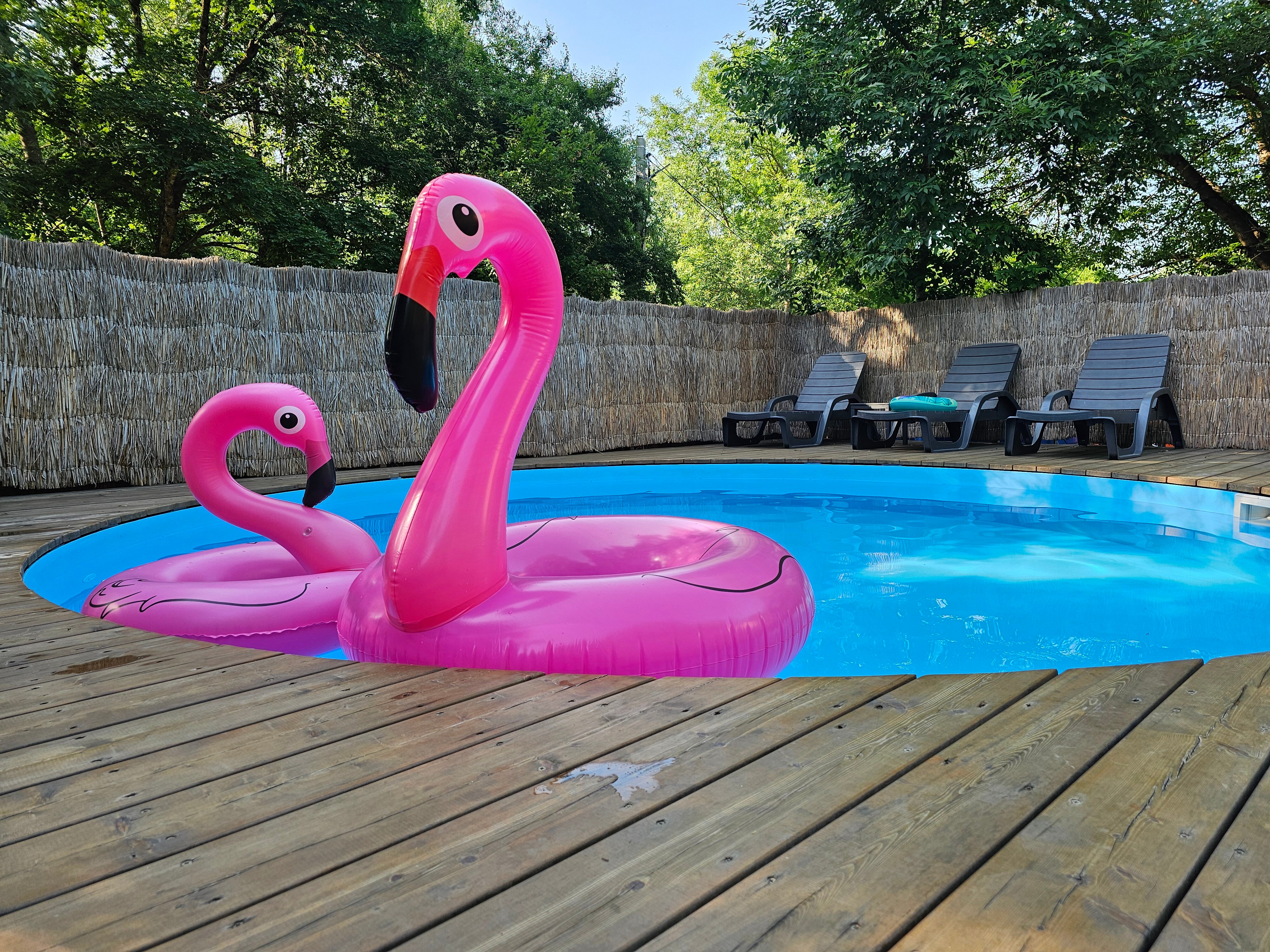 Фото Собер Глэмп