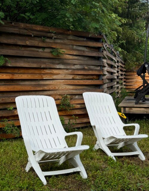 Фото Лесная поляна