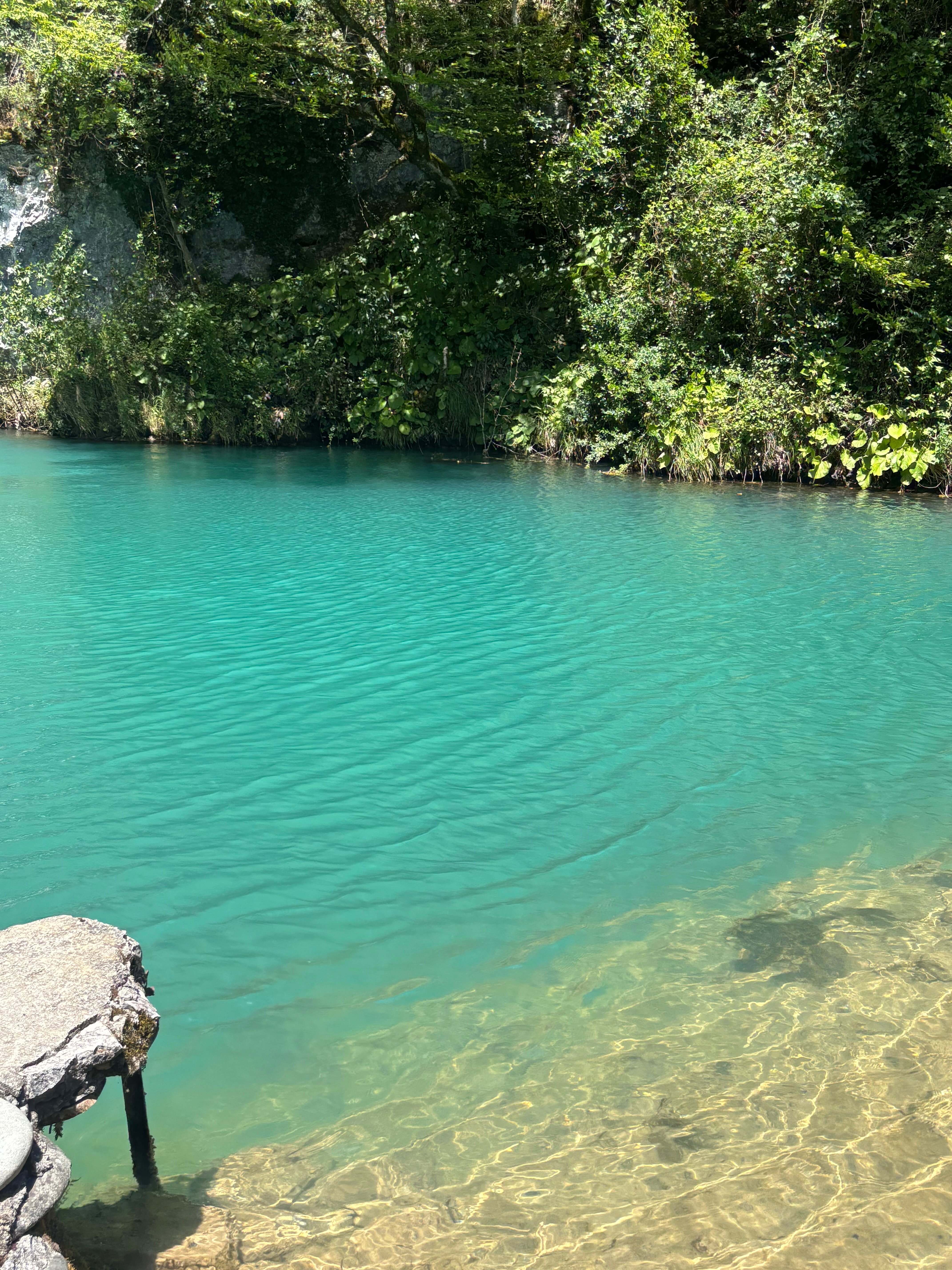 Фото Мыс Сухума