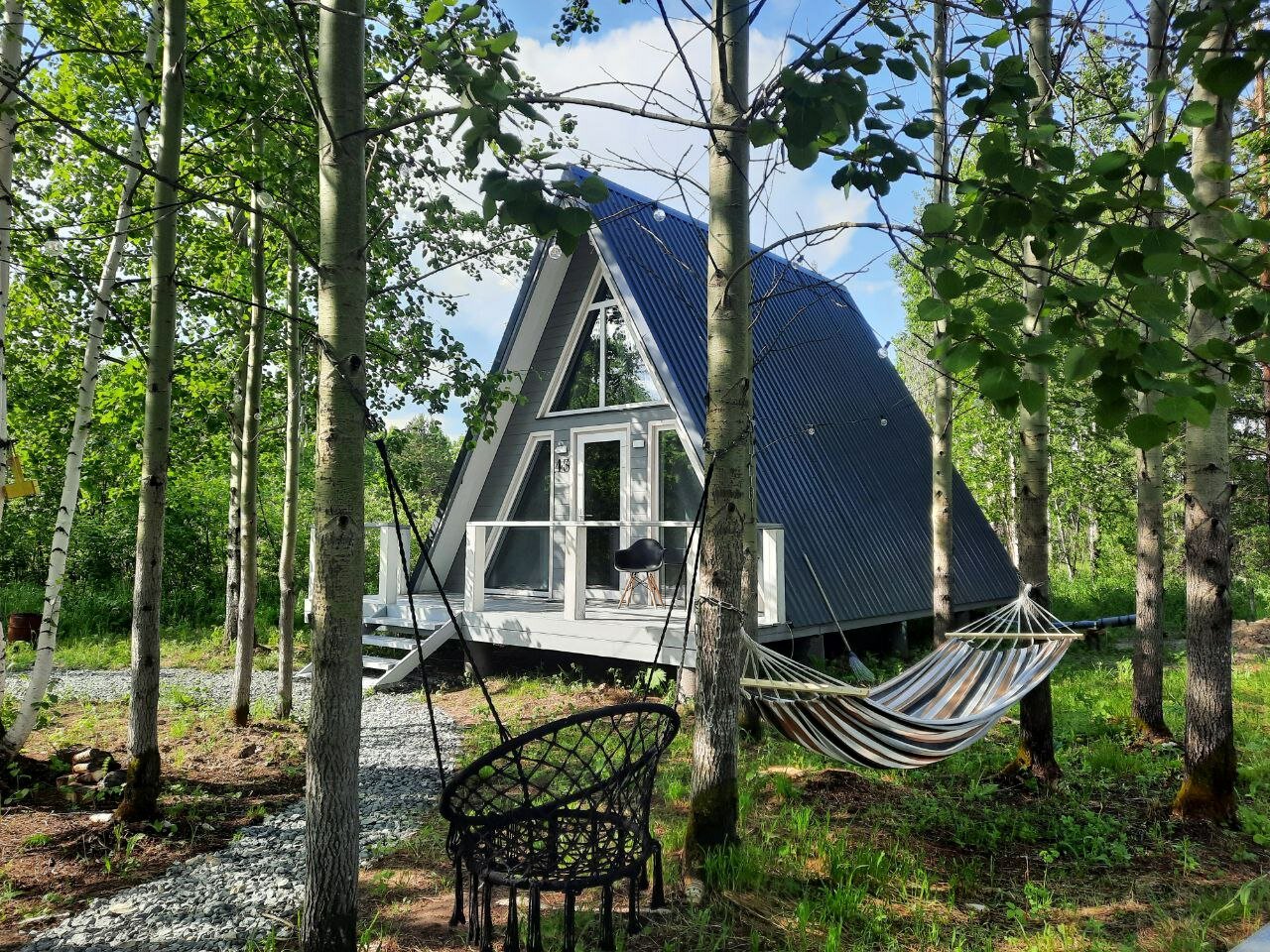 Фото Свобода леса