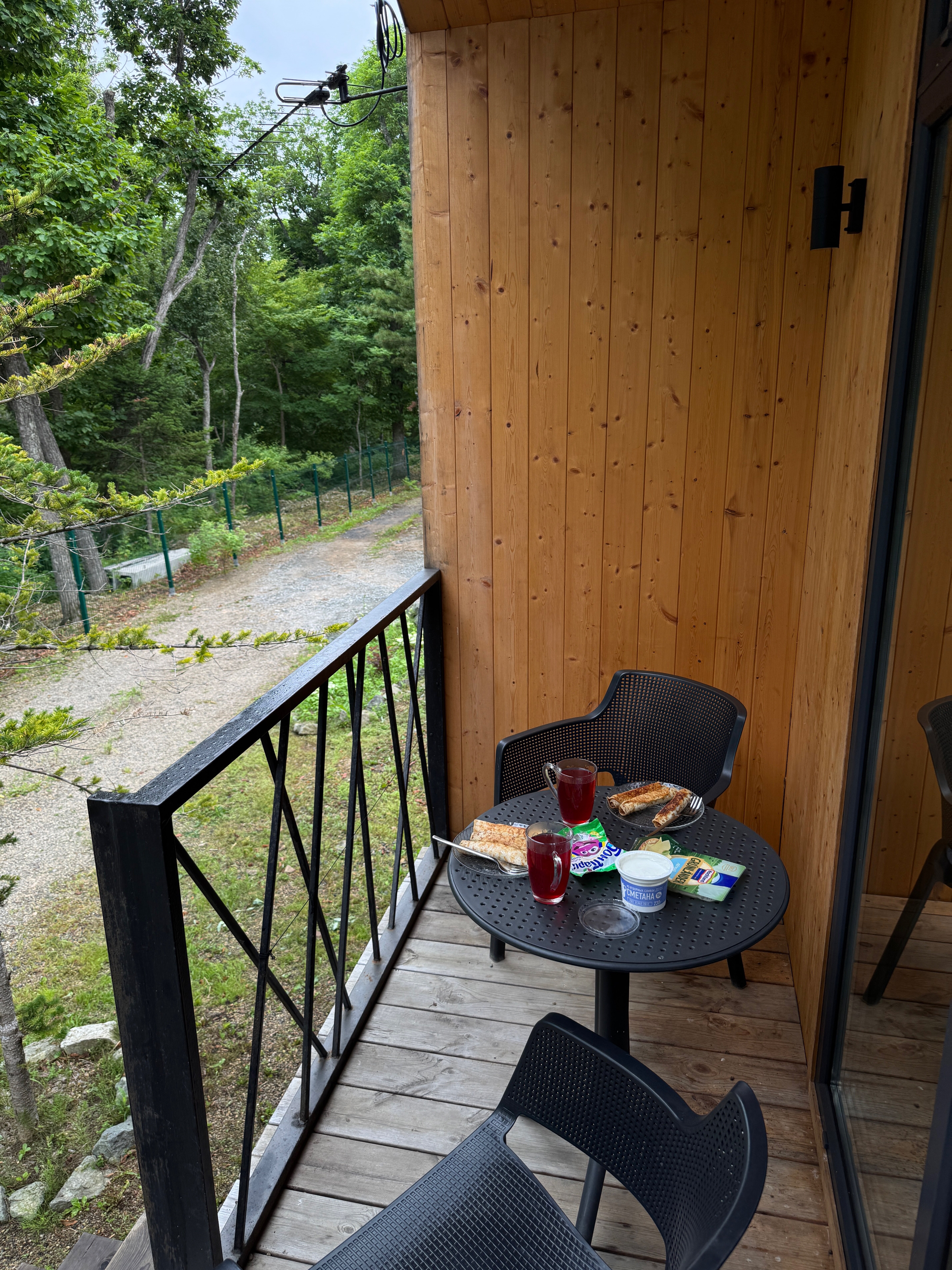 Фото Pine Family