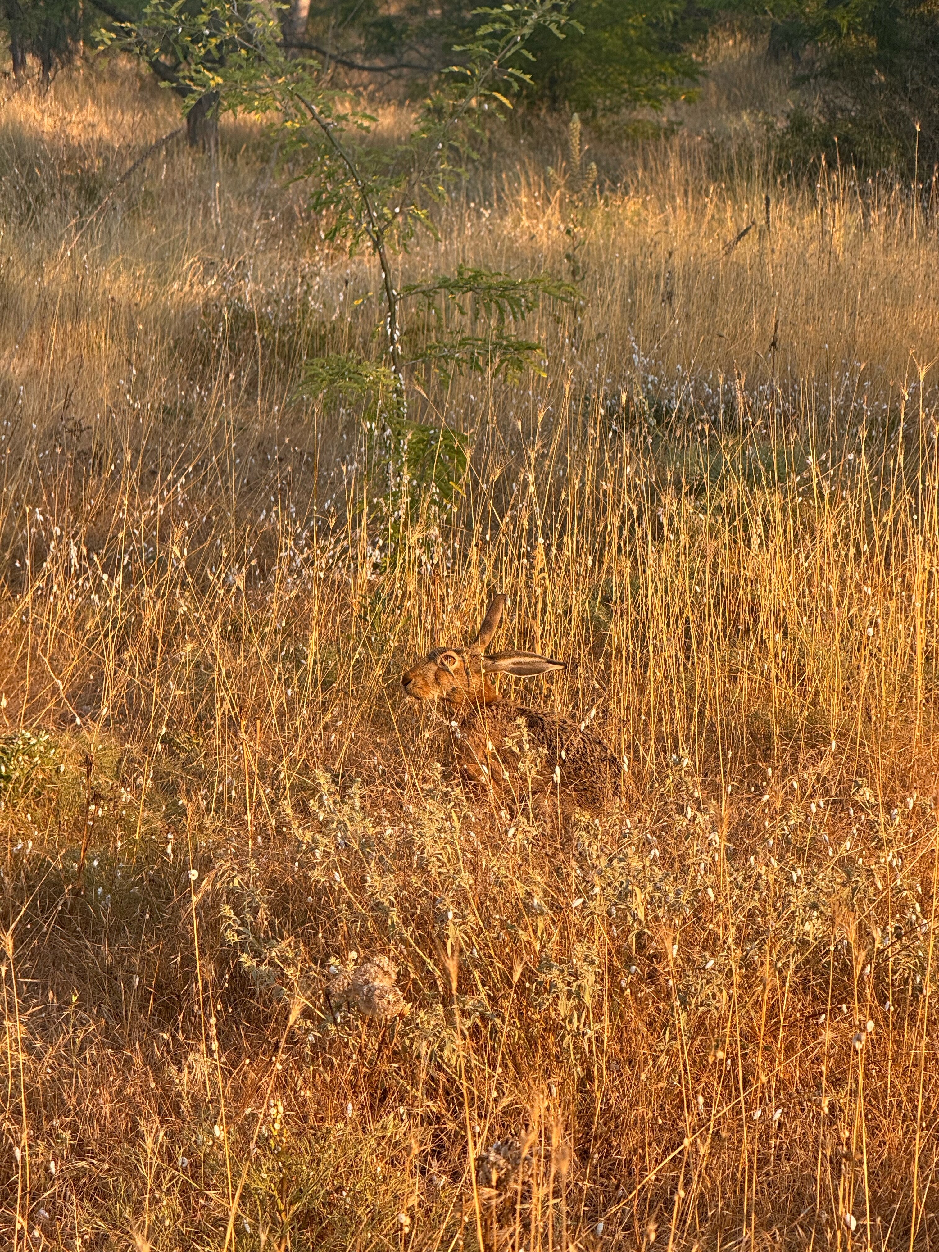 Фото Усадьба Тишины