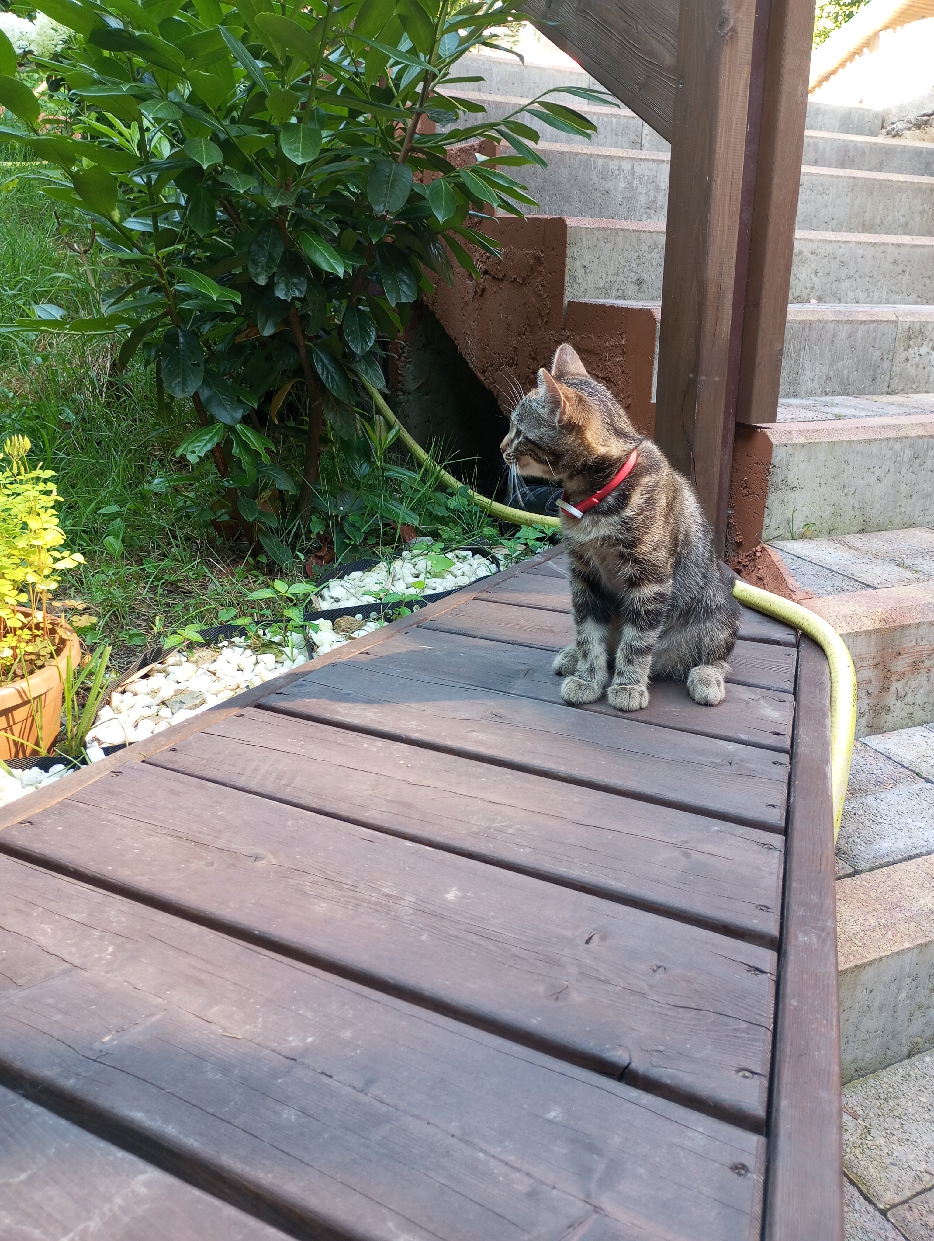 Фото Восток-Запад